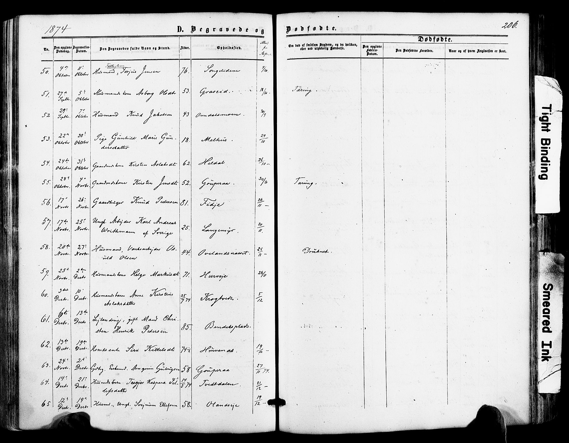 Froland sokneprestkontor, AV/SAK-1111-0013/F/Fa/L0003: Parish register (official) no. A 3, 1864-1881, p. 206