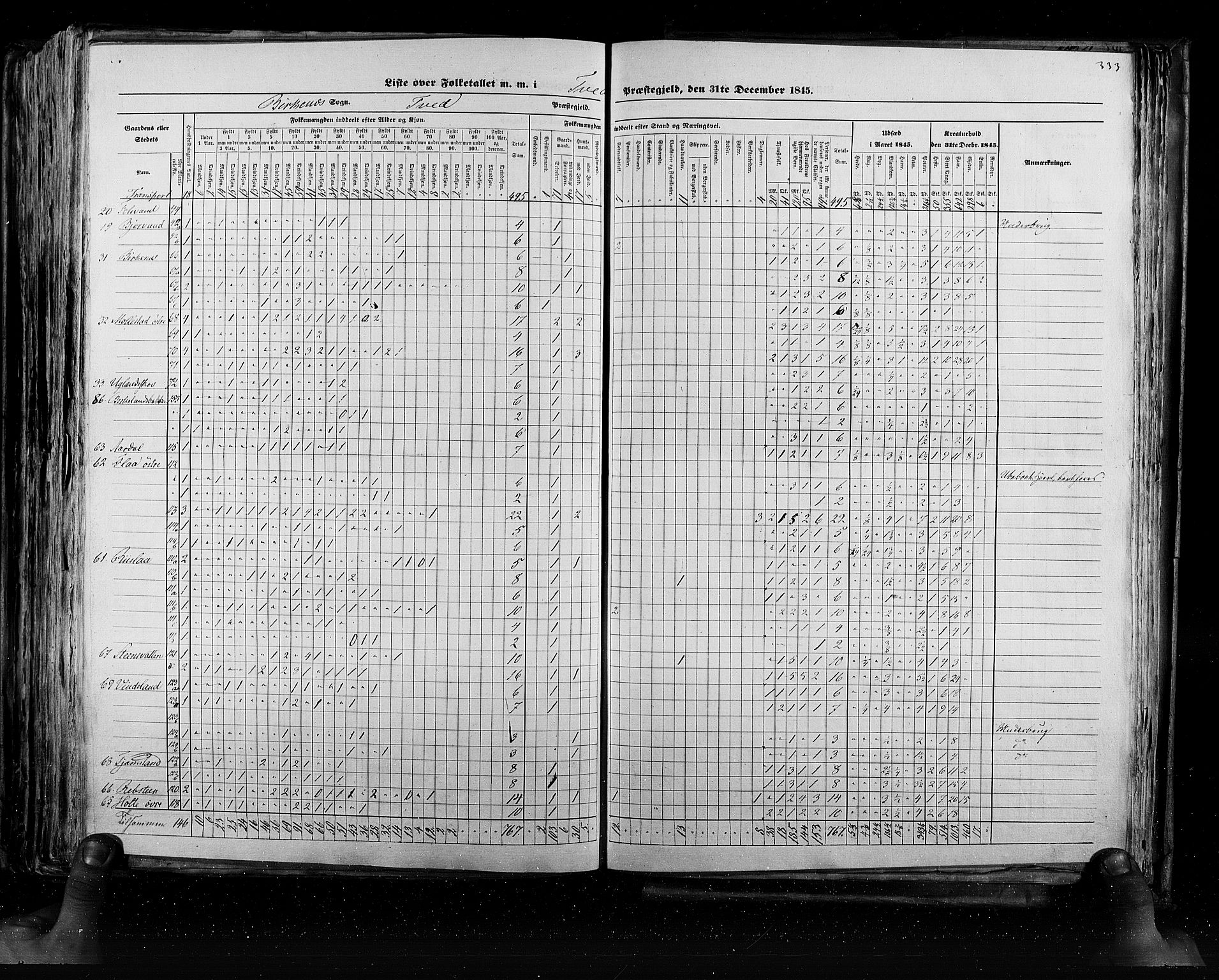 RA, Census 1845, vol. 5: Bratsberg amt og Nedenes og Råbyggelaget amt, 1845, p. 333