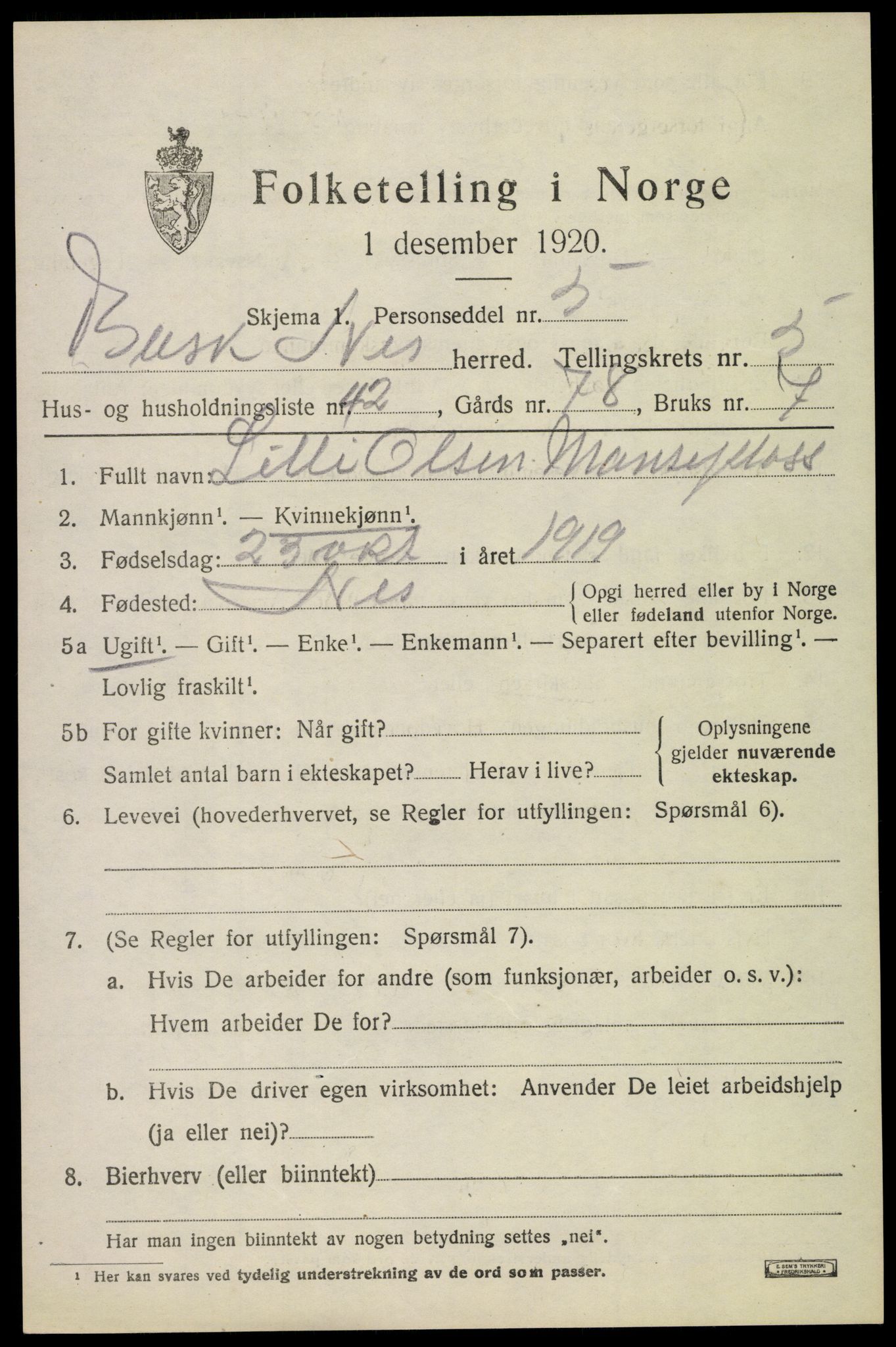 SAKO, 1920 census for Nes (Buskerud), 1920, p. 2882