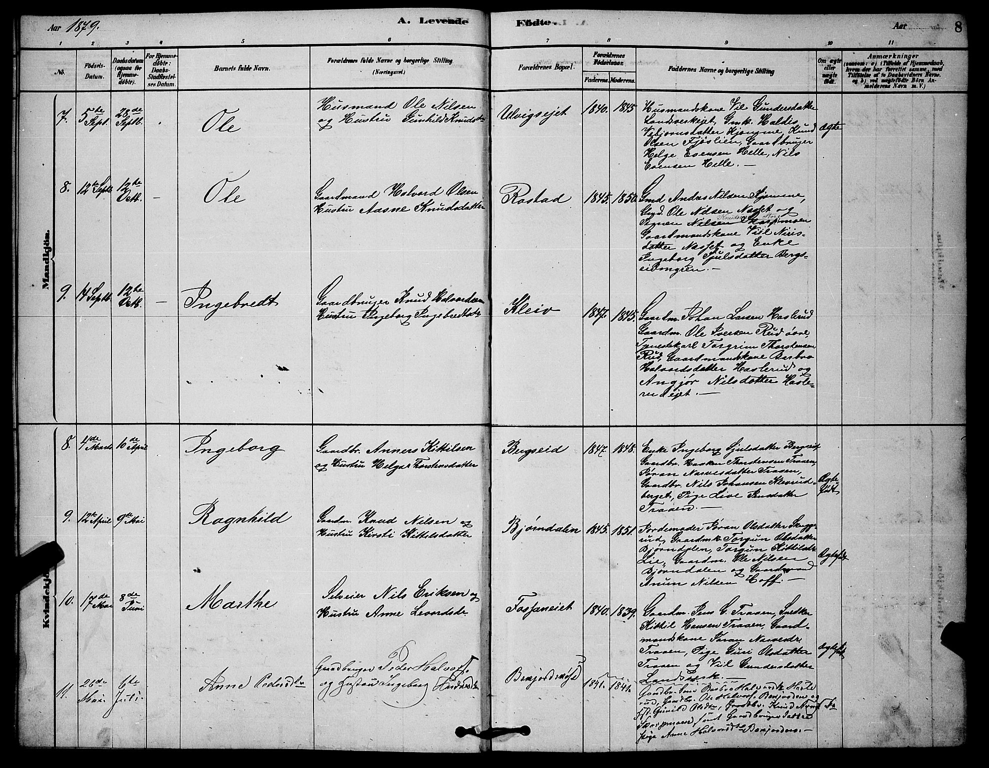 Rollag kirkebøker, AV/SAKO-A-240/G/Ga/L0004: Parish register (copy) no. I 4, 1878-1903, p. 8