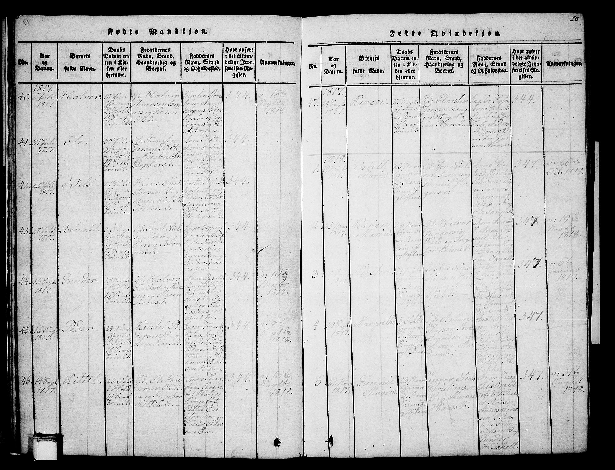 Holla kirkebøker, AV/SAKO-A-272/G/Ga/L0001: Parish register (copy) no. I 1, 1814-1830, p. 20