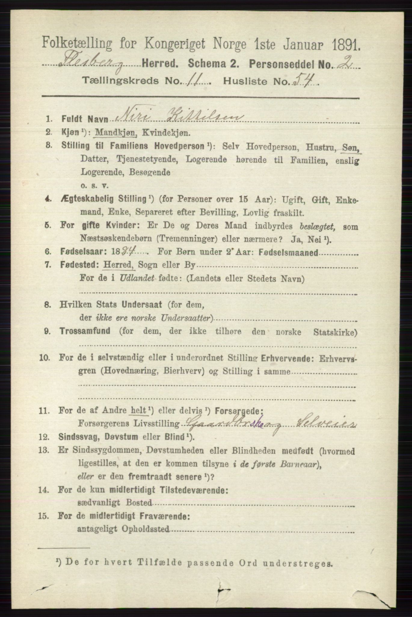 RA, 1891 census for 0631 Flesberg, 1891, p. 2065