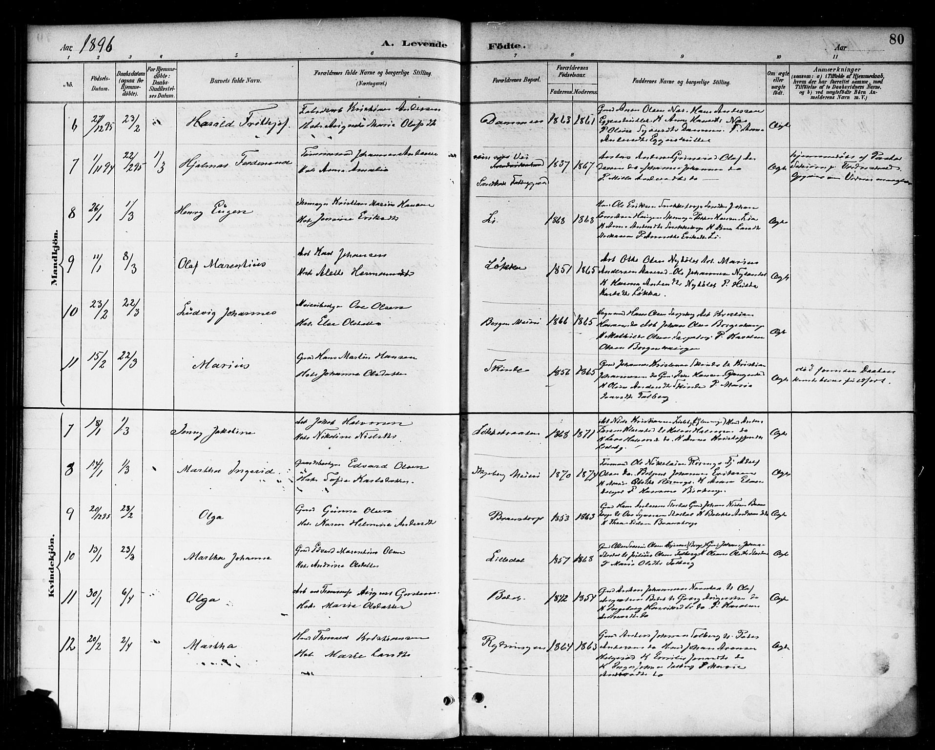 Skjeberg prestekontor Kirkebøker, AV/SAO-A-10923/F/Fa/L0009: Parish register (official) no. I 9, 1886-1897, p. 80