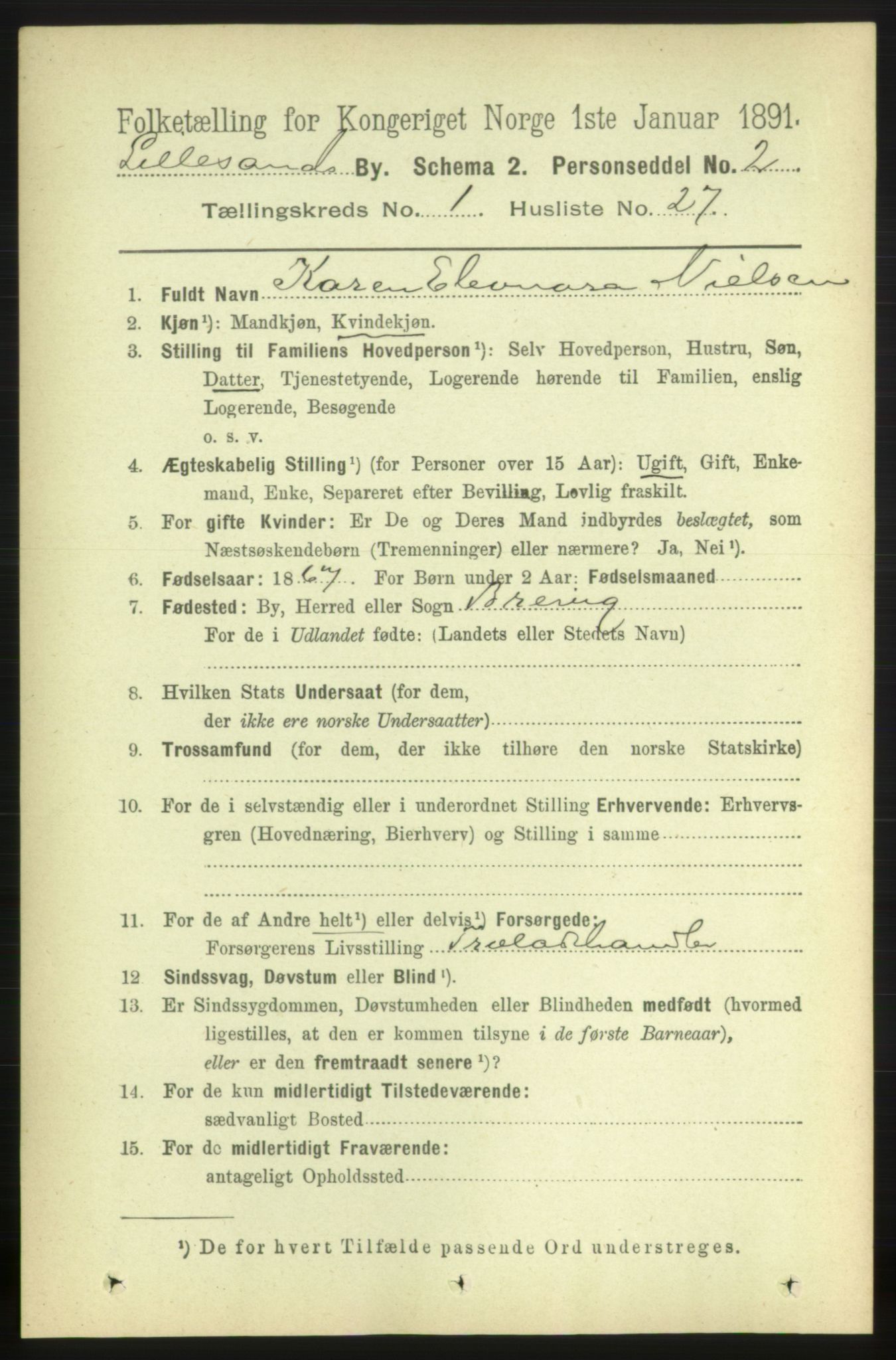 RA, 1891 census for 0905 Lillesand, 1891, p. 164