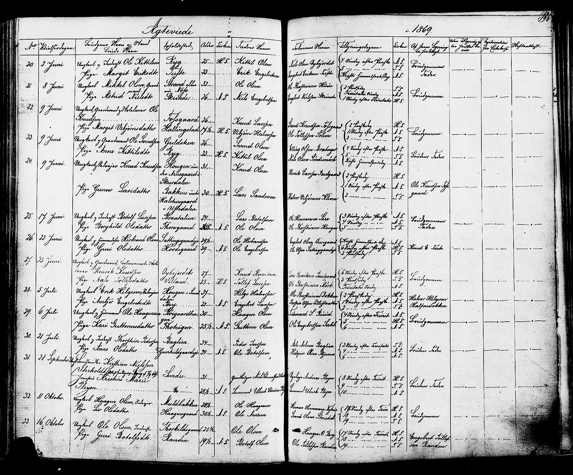 Ål kirkebøker, AV/SAKO-A-249/F/Fa/L0007: Parish register (official) no. I 7, 1865-1881, p. 193