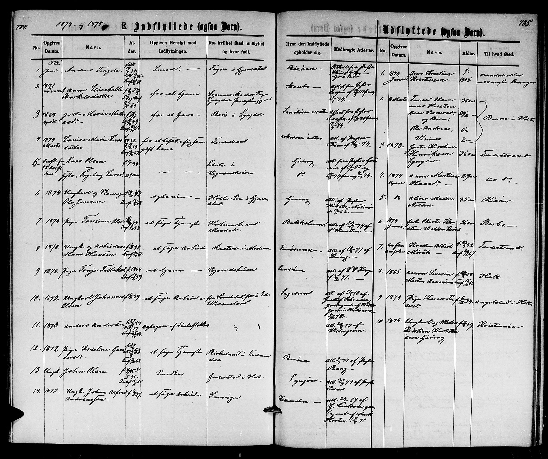 Dypvåg sokneprestkontor, SAK/1111-0007/F/Fb/Fba/L0012: Parish register (copy) no. B 12, 1872-1886, p. 784-785