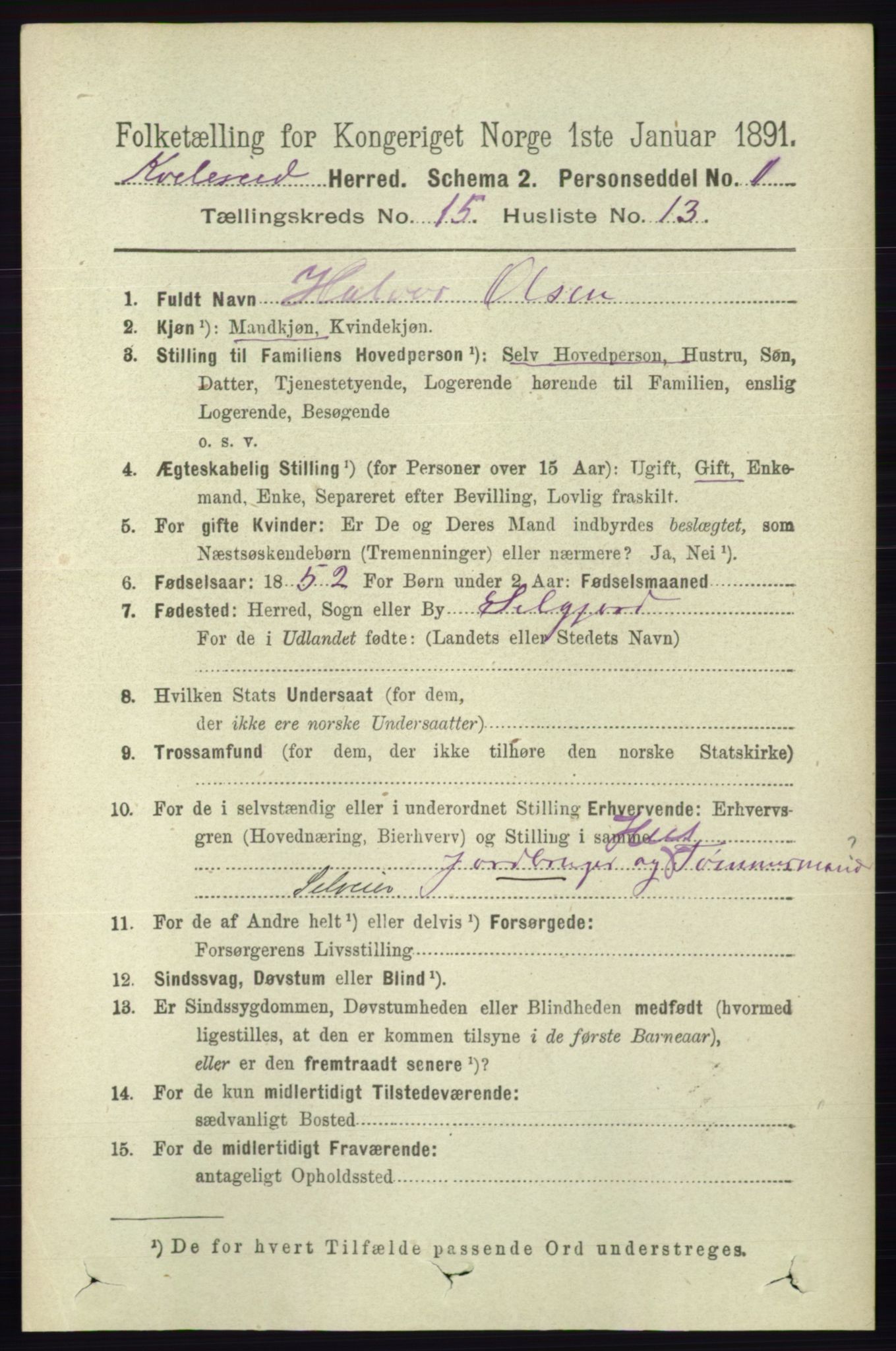 RA, 1891 census for 0829 Kviteseid, 1891, p. 3584