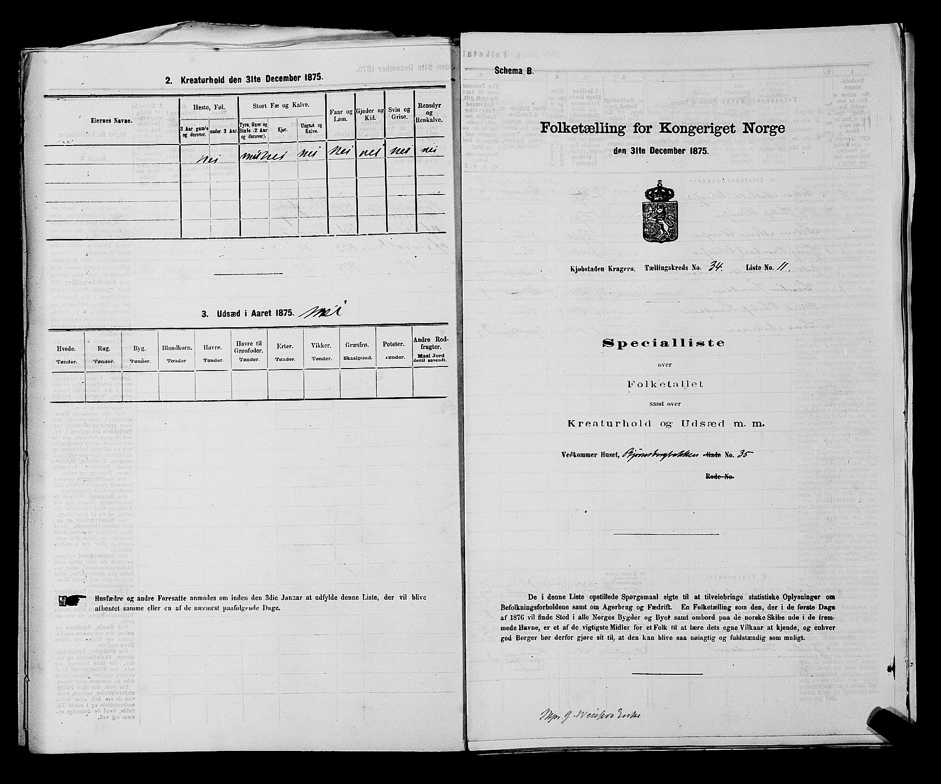 SAKO, 1875 census for 0801P Kragerø, 1875, p. 705