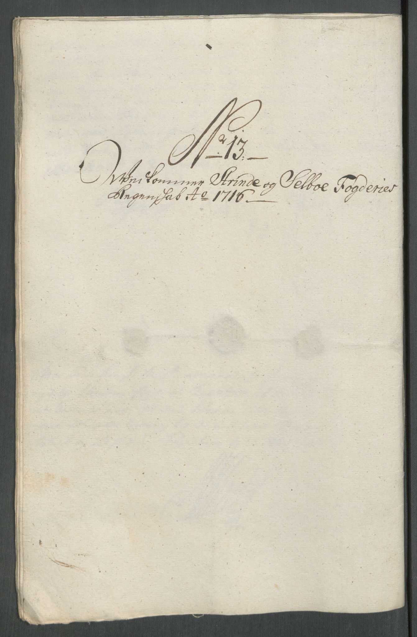 Rentekammeret inntil 1814, Reviderte regnskaper, Fogderegnskap, RA/EA-4092/R61/L4115: Fogderegnskap Strinda og Selbu, 1715-1716, p. 381
