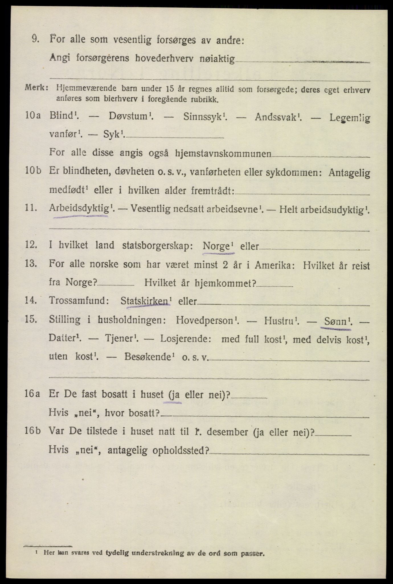 SAH, 1920 census for Åsnes, 1920, p. 13353