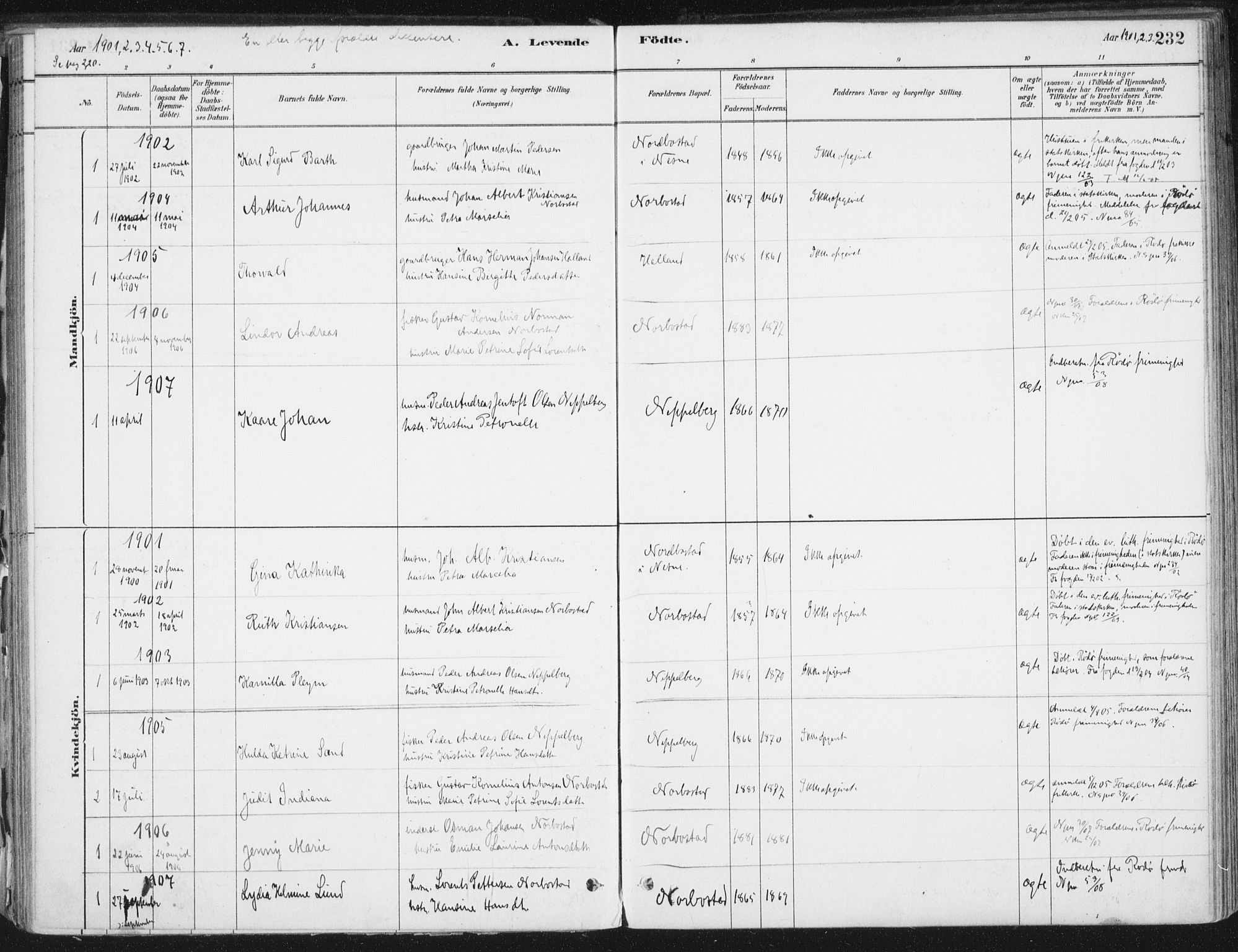 Ministerialprotokoller, klokkerbøker og fødselsregistre - Nordland, AV/SAT-A-1459/838/L0552: Parish register (official) no. 838A10, 1880-1910, p. 232