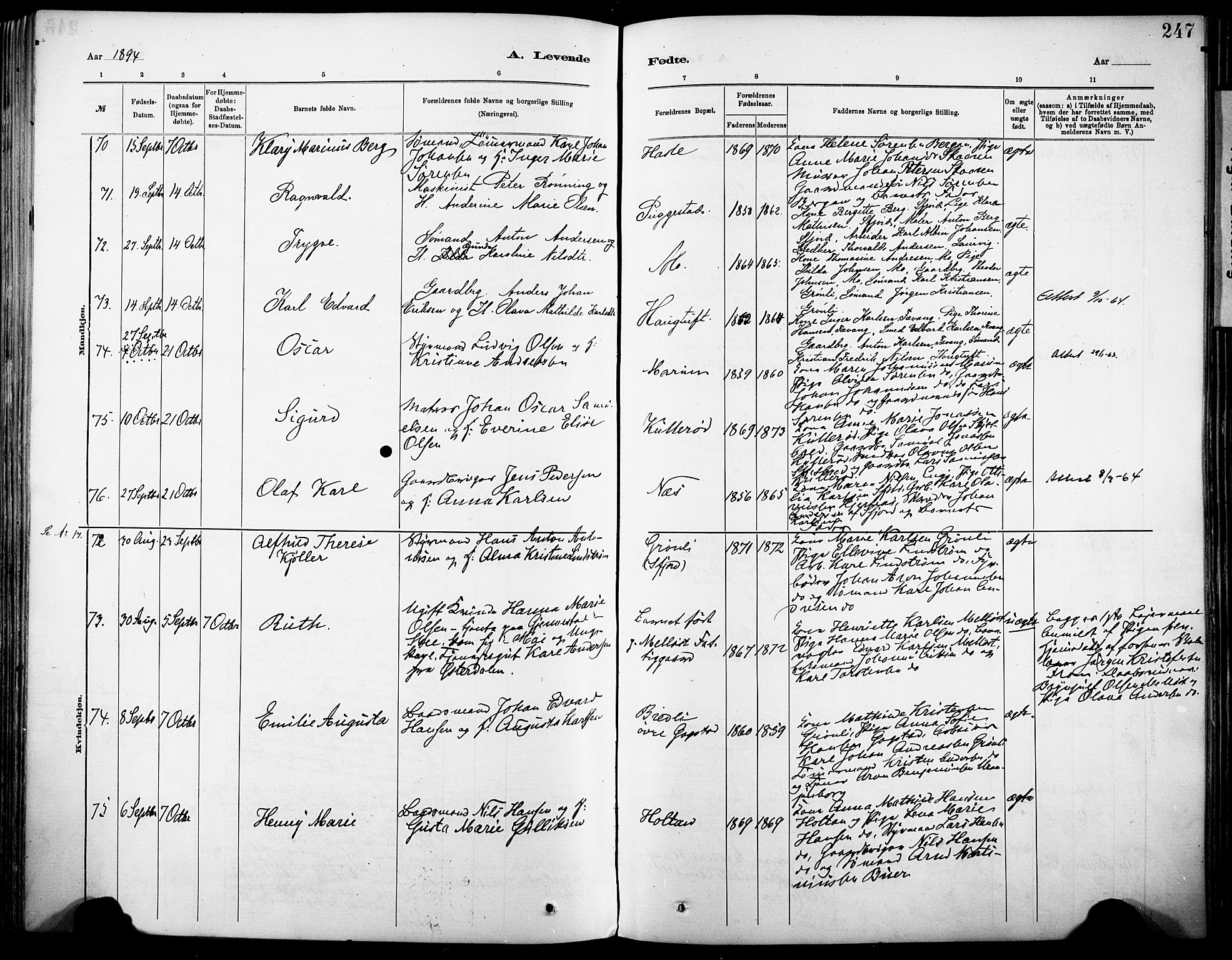 Sandar kirkebøker, AV/SAKO-A-243/F/Fa/L0012: Parish register (official) no. 12, 1883-1895, p. 247