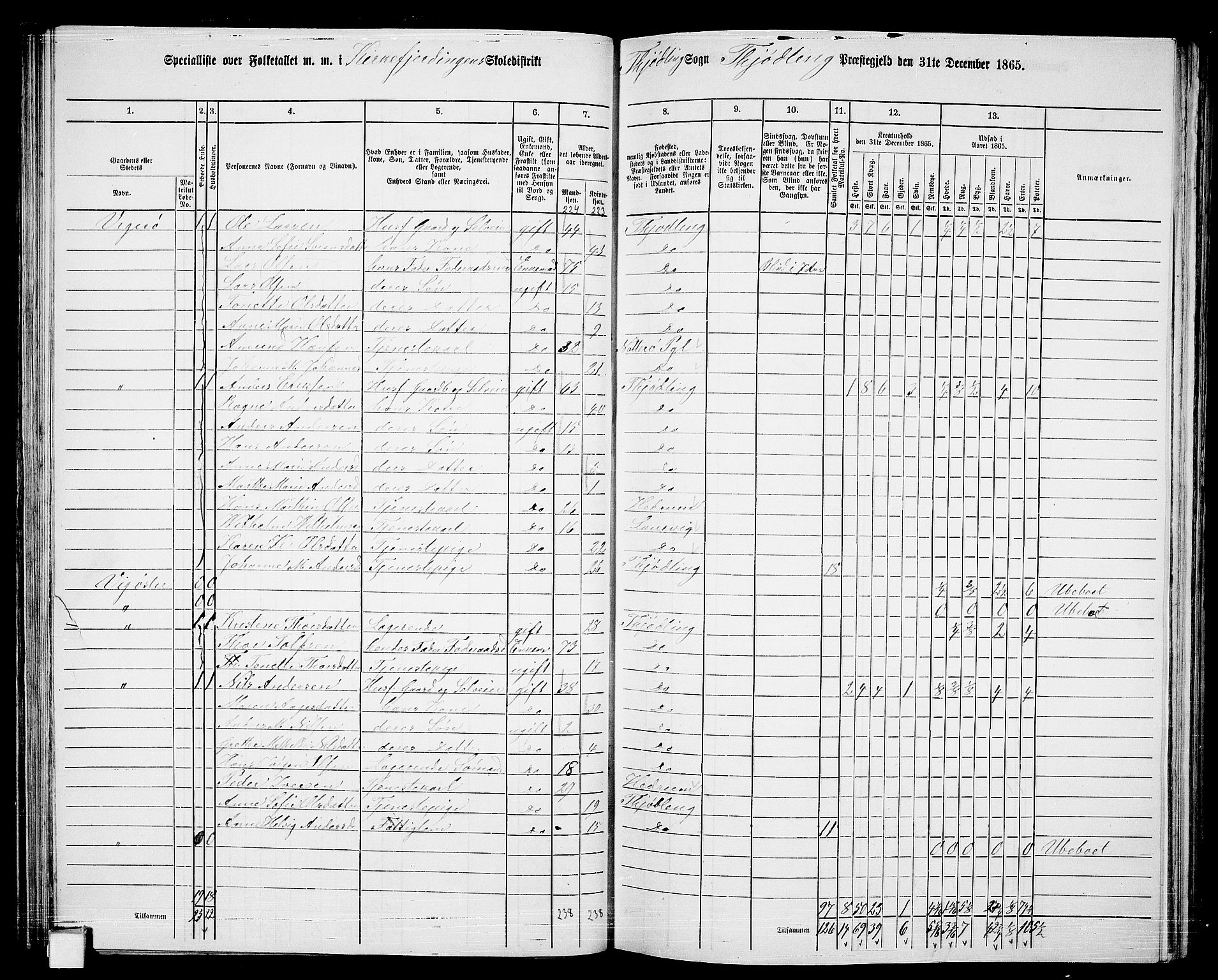 RA, 1865 census for Tjølling, 1865, p. 71