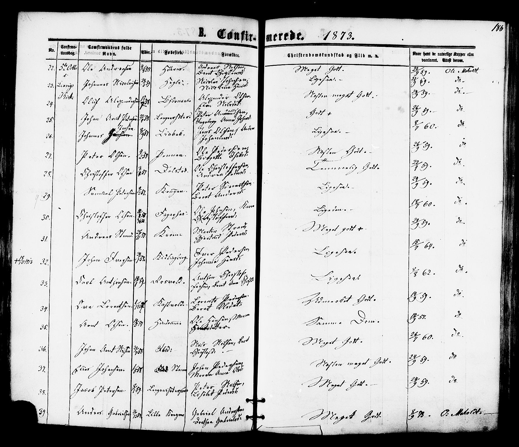Ministerialprotokoller, klokkerbøker og fødselsregistre - Nord-Trøndelag, SAT/A-1458/701/L0009: Parish register (official) no. 701A09 /1, 1864-1882, p. 186