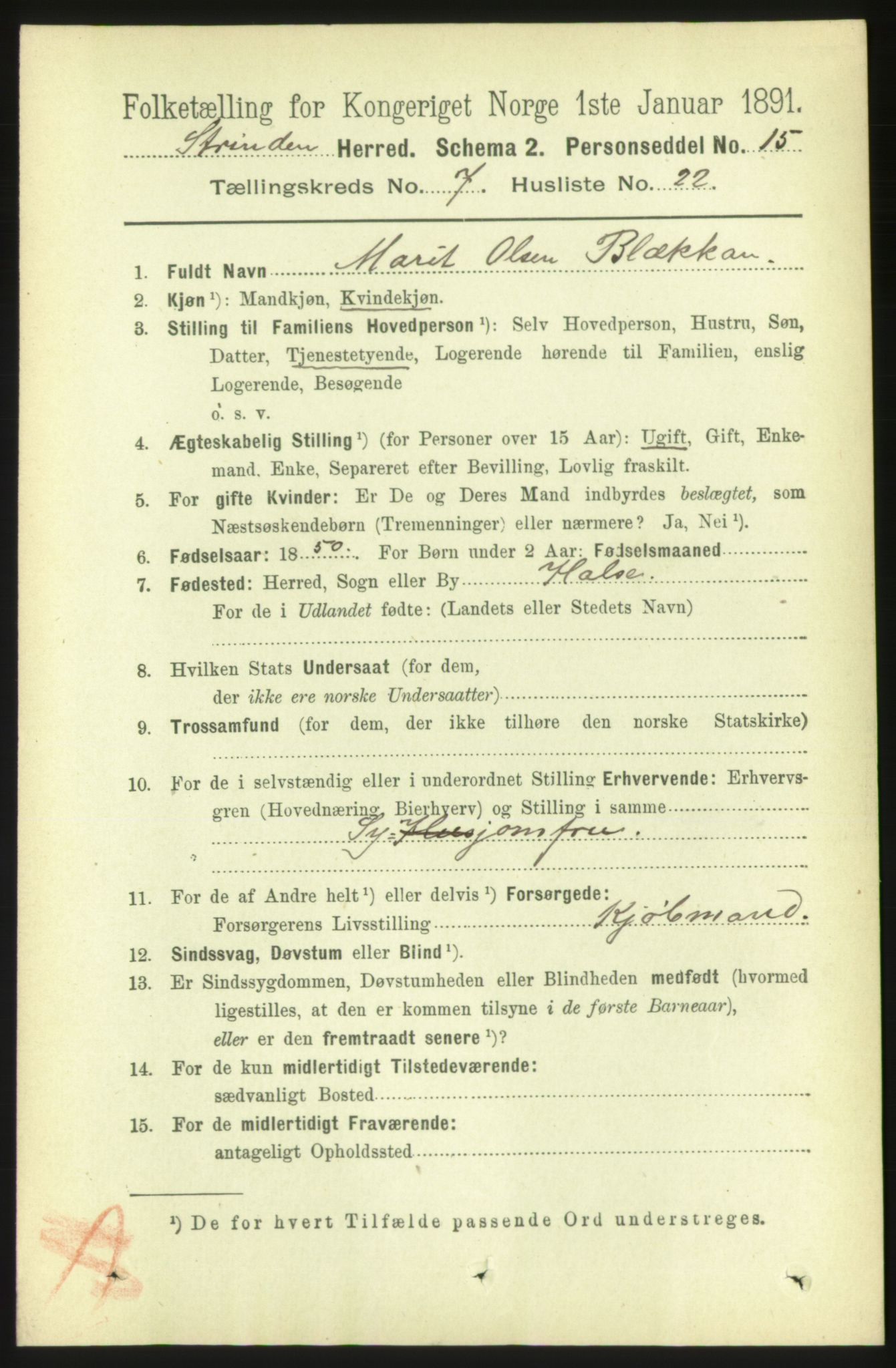 RA, 1891 census for 1660 Strinda, 1891, p. 6418