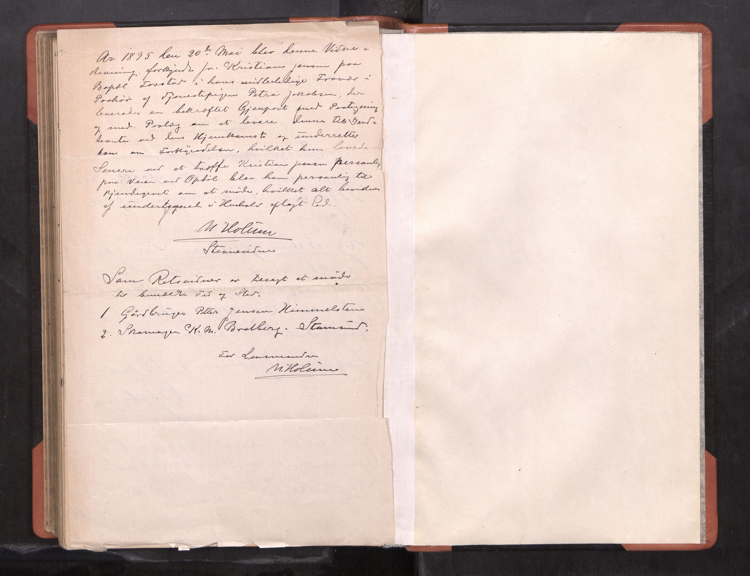 Lofoten sorenskriveri, AV/SAT-A-0017/1/1/1B/L0010: Ekstrarettsprotokoll, 1893-1896