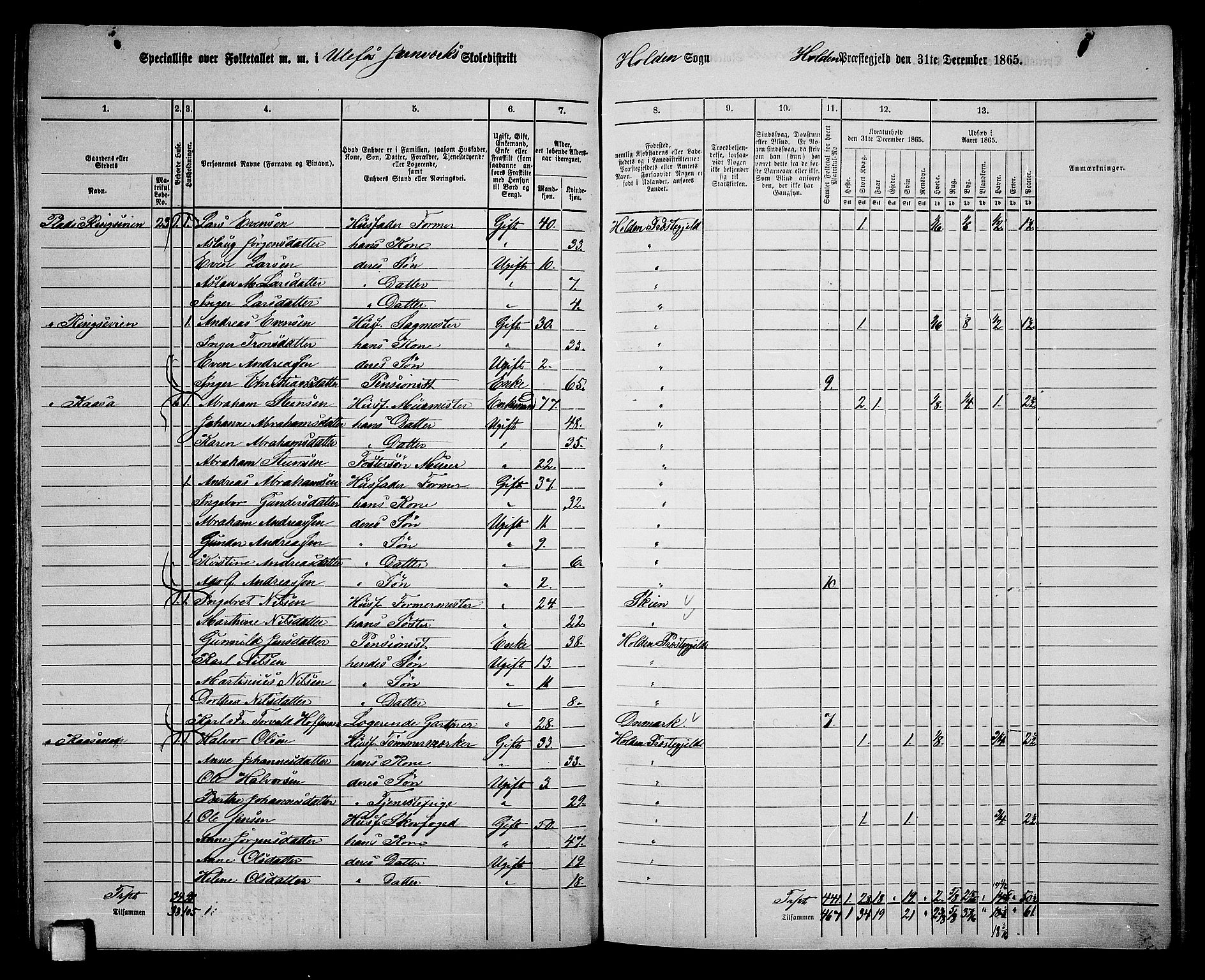 RA, 1865 census for Holla, 1865, p. 63