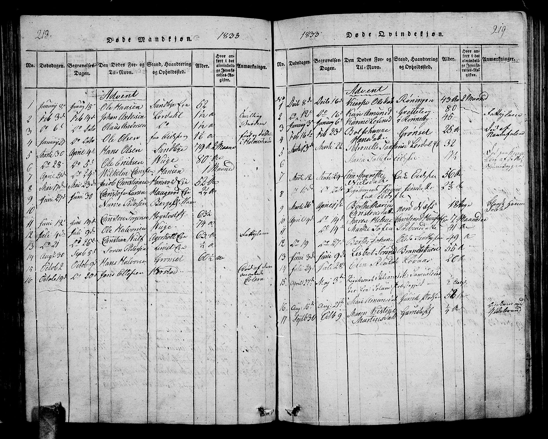 Hof kirkebøker, AV/SAKO-A-64/G/Ga/L0001: Parish register (copy) no. I 1, 1814-1844, p. 218-219