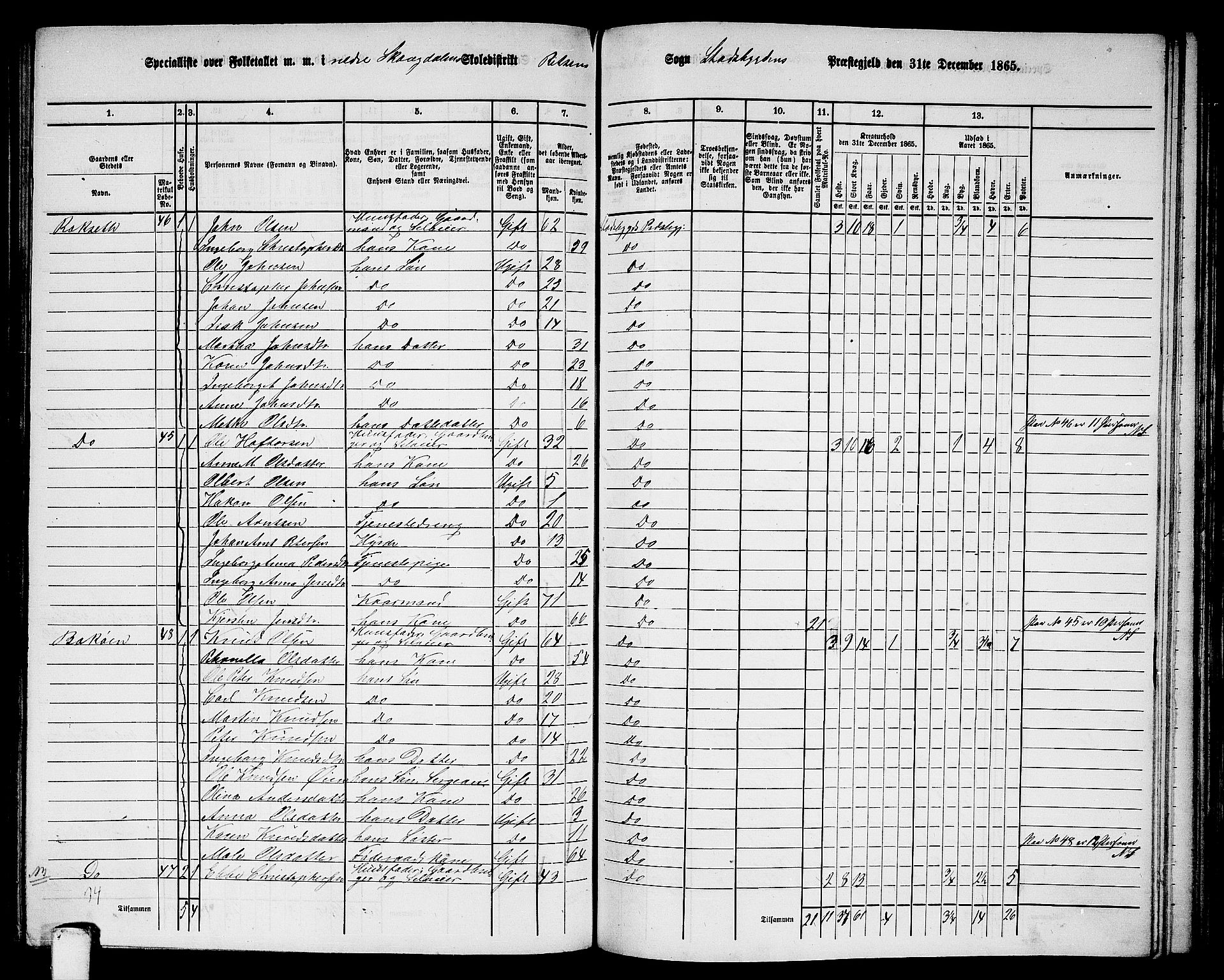 RA, 1865 census for Stadsbygd, 1865, p. 142