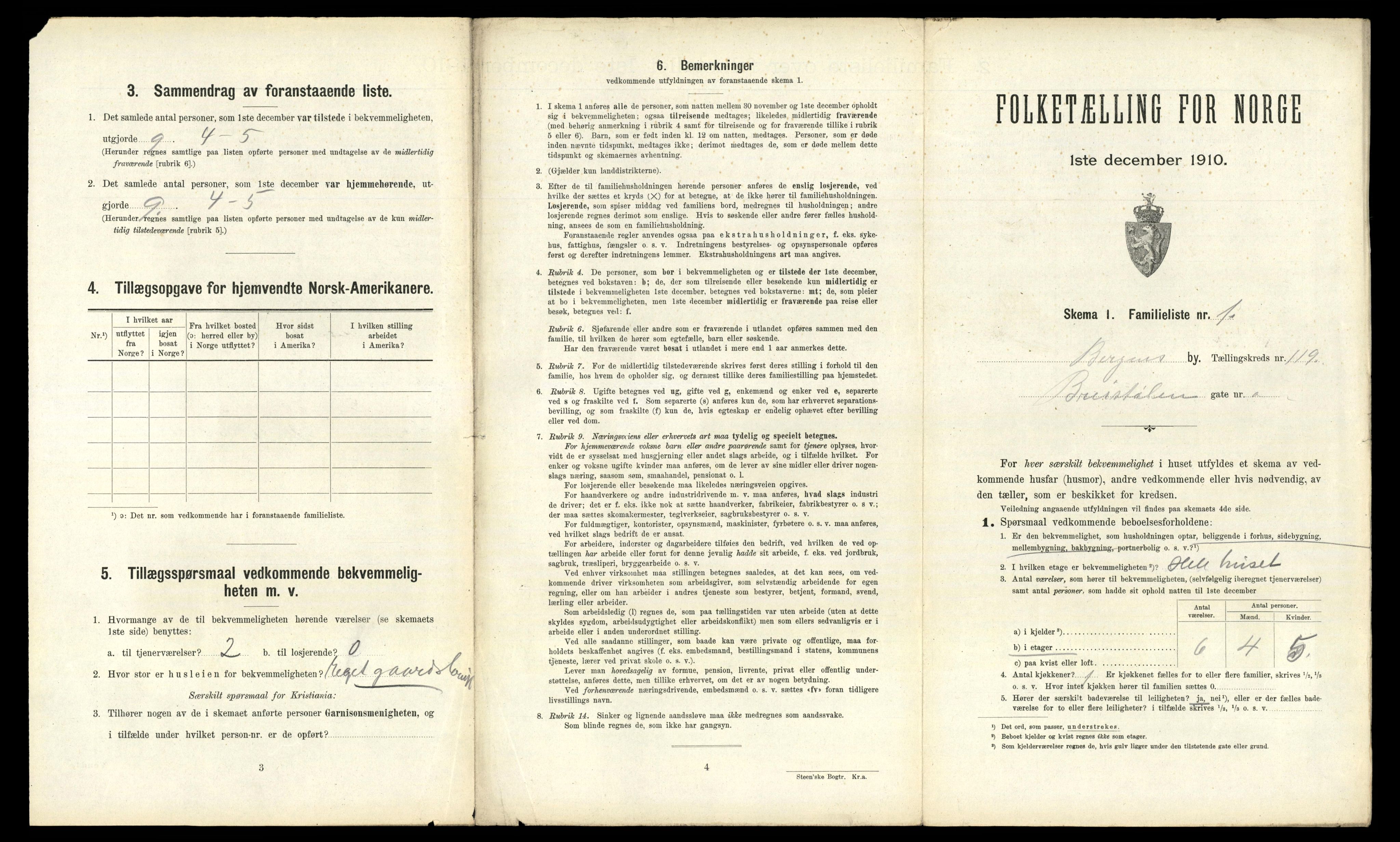 RA, 1910 census for Bergen, 1910, p. 41483