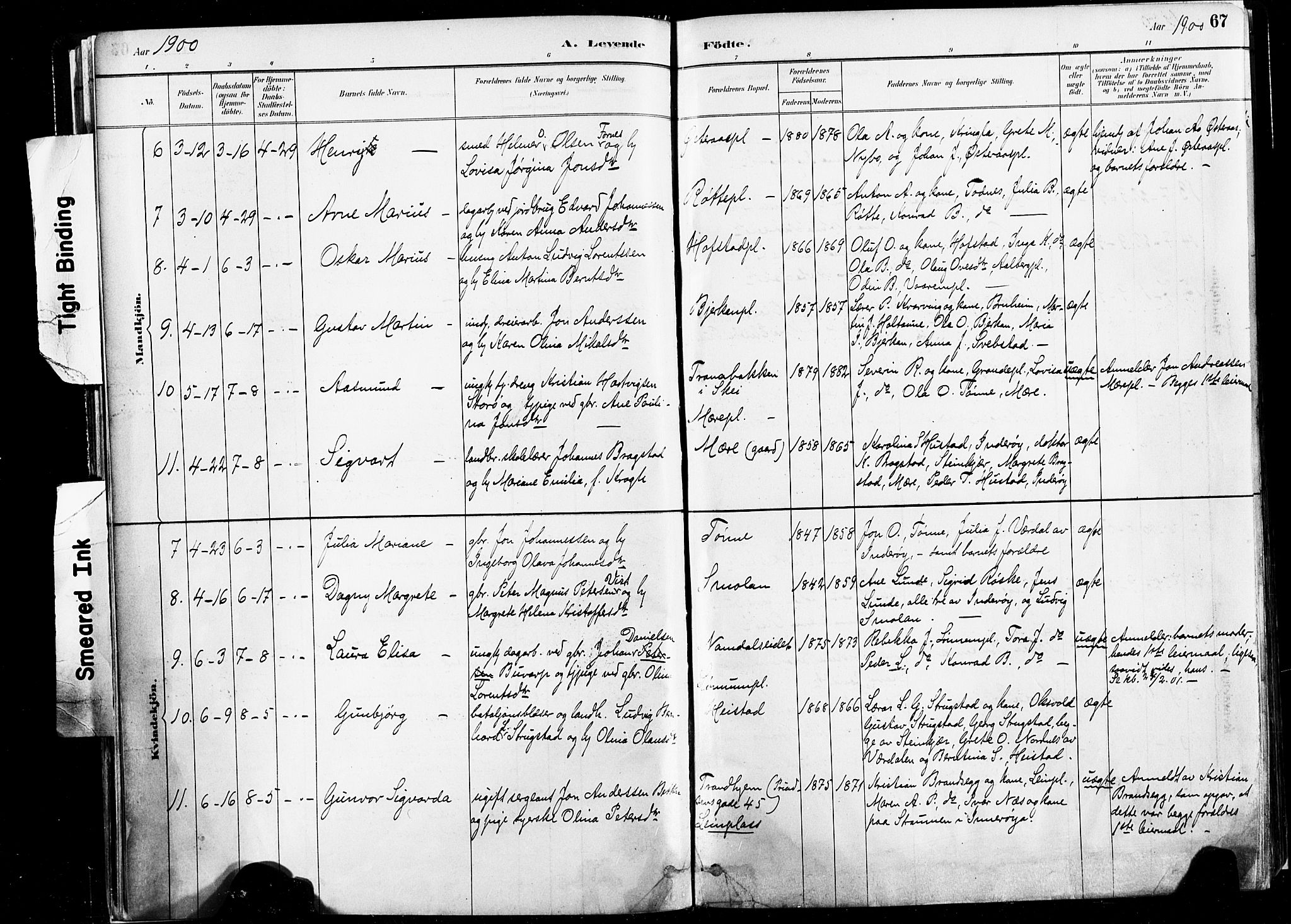 Ministerialprotokoller, klokkerbøker og fødselsregistre - Nord-Trøndelag, SAT/A-1458/735/L0351: Parish register (official) no. 735A10, 1884-1908, p. 67