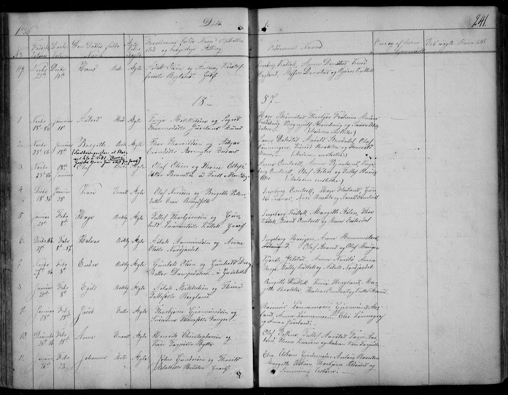Kviteseid kirkebøker, SAKO/A-276/F/Fa/L0006: Parish register (official) no. I 6, 1836-1858, p. 241