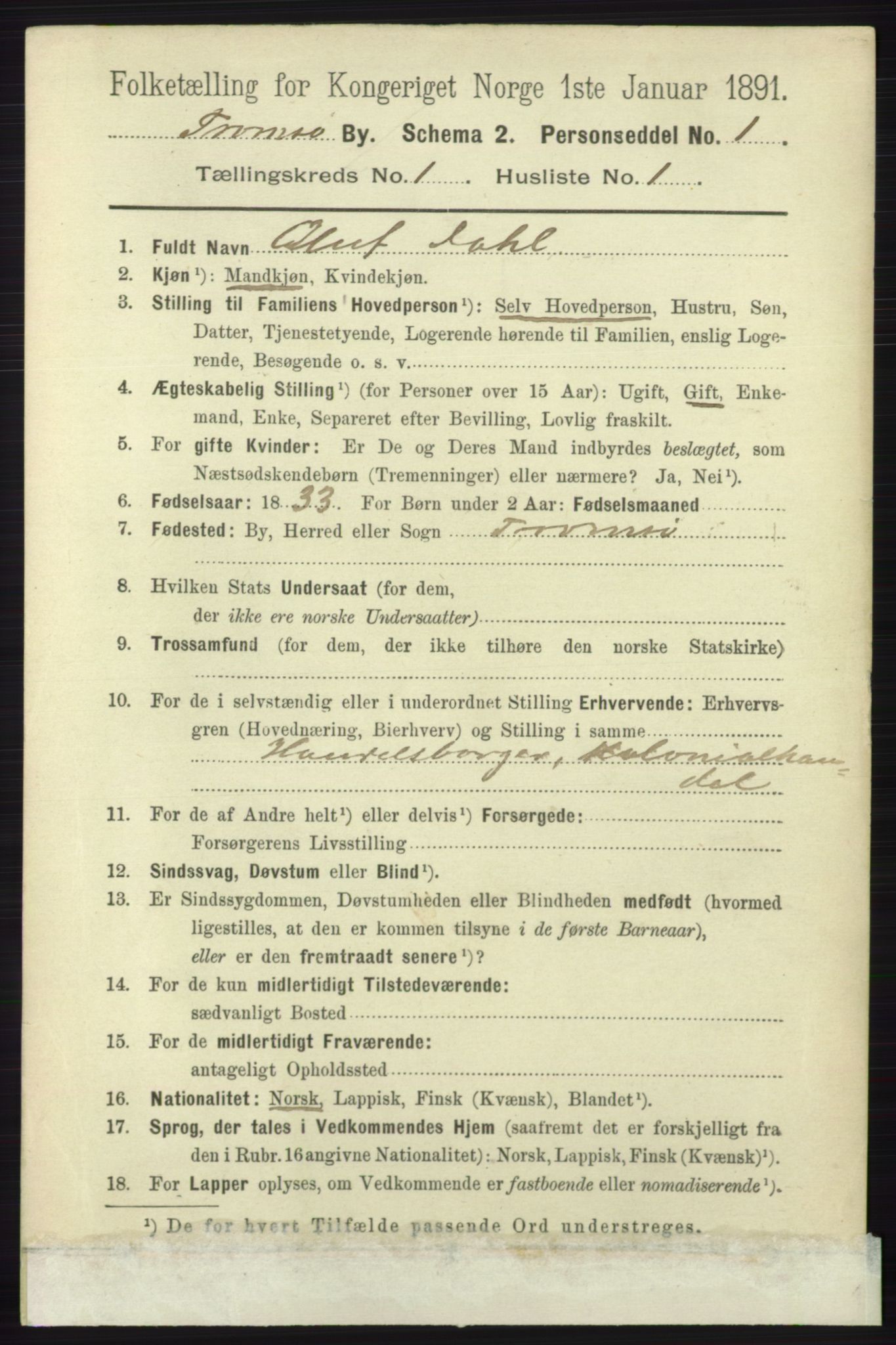 RA, 1891 census for 1902 Tromsø, 1891, p. 291