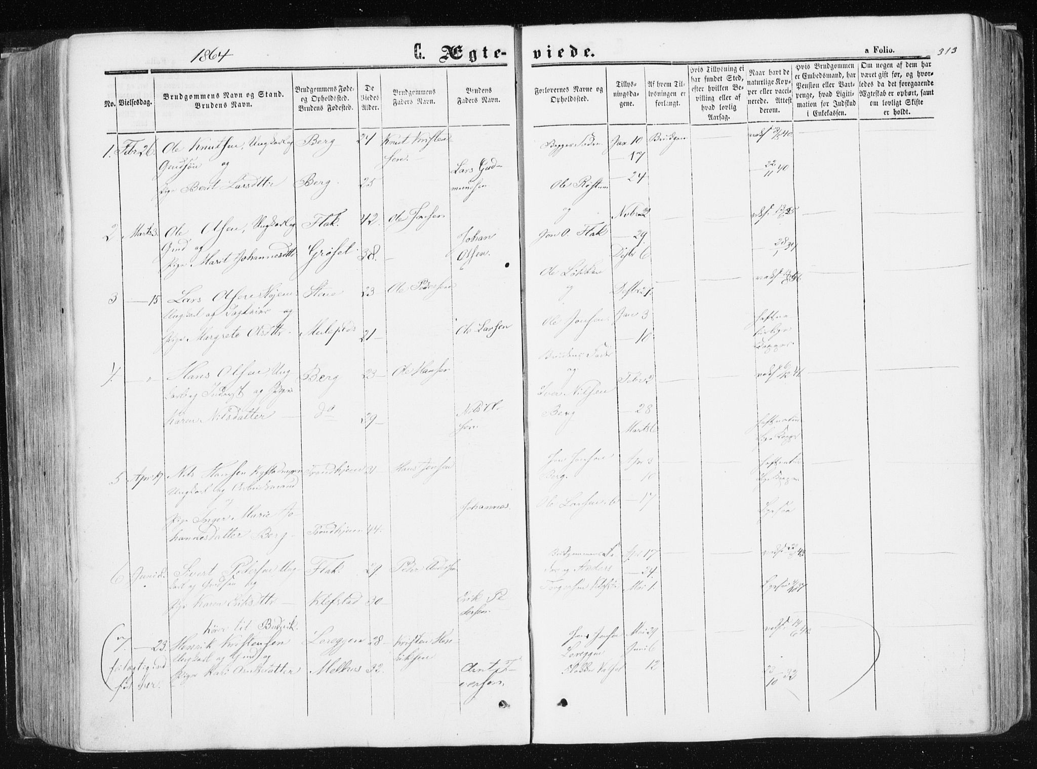 Ministerialprotokoller, klokkerbøker og fødselsregistre - Sør-Trøndelag, SAT/A-1456/612/L0377: Parish register (official) no. 612A09, 1859-1877, p. 313