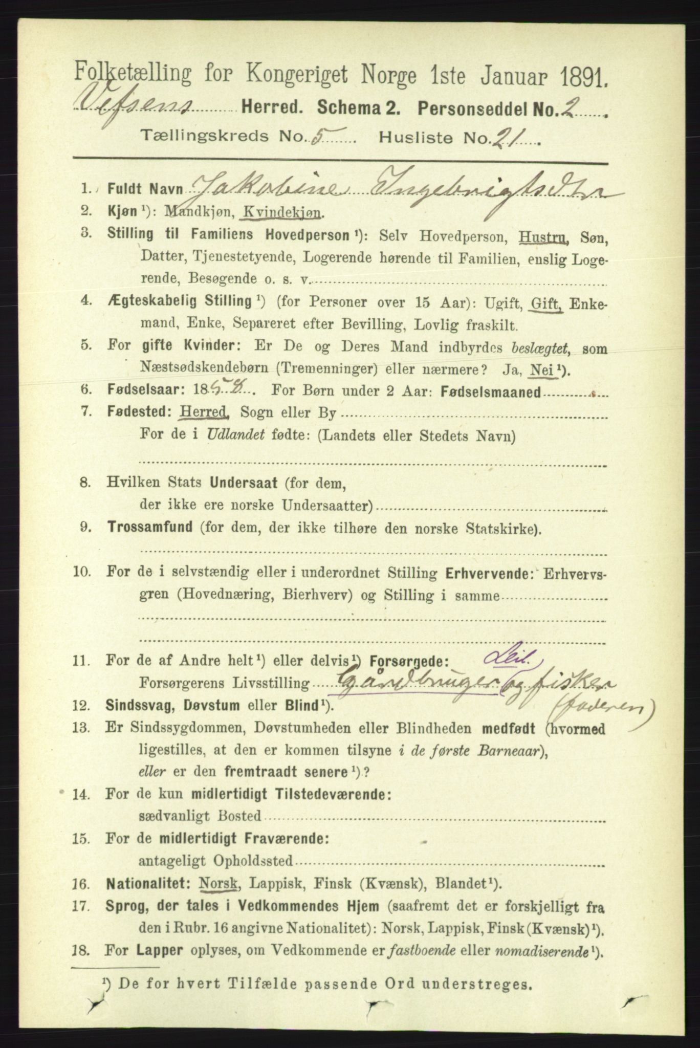 RA, 1891 census for 1824 Vefsn, 1891, p. 2247