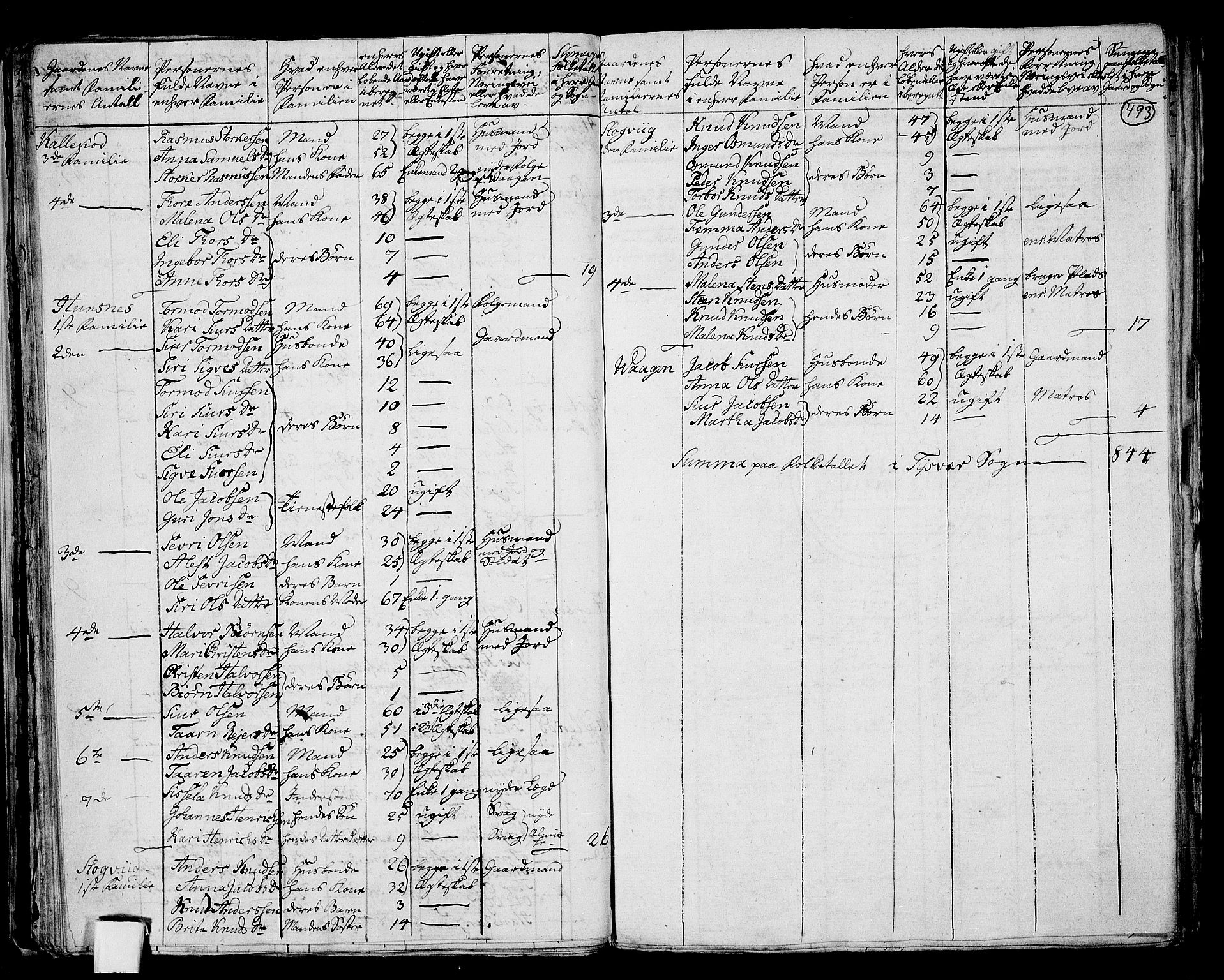 RA, 1801 census for 1154P Skjold, 1801, p. 492b-493a