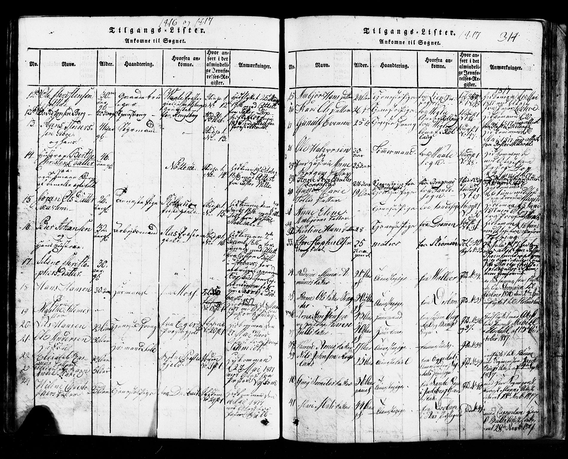 Hurum kirkebøker, SAKO/A-229/G/Ga/L0001: Parish register (copy) no. I 1, 1816-1826, p. 314