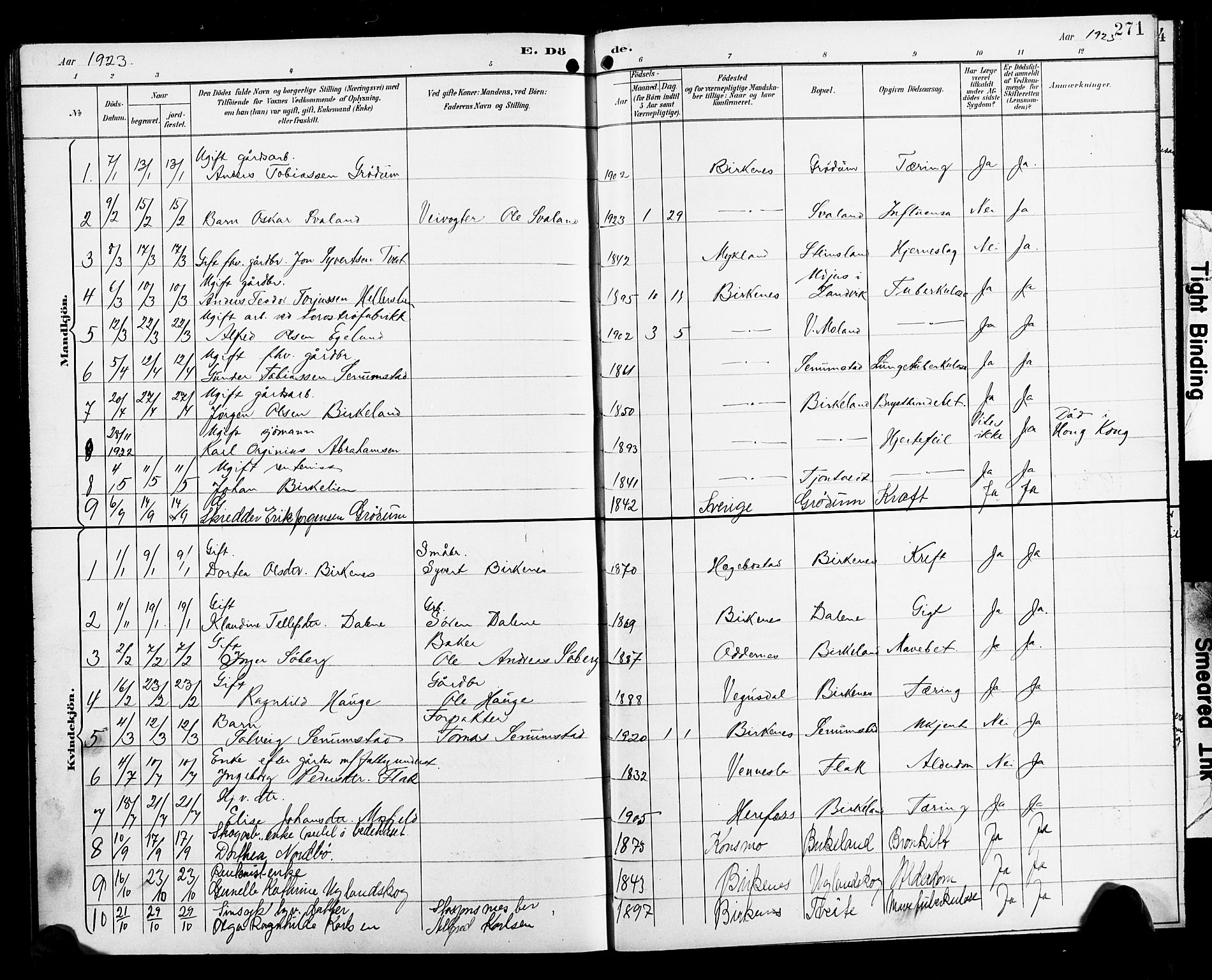 Birkenes sokneprestkontor, SAK/1111-0004/F/Fb/L0004: Parish register (copy) no. B 4, 1893-1930, p. 271