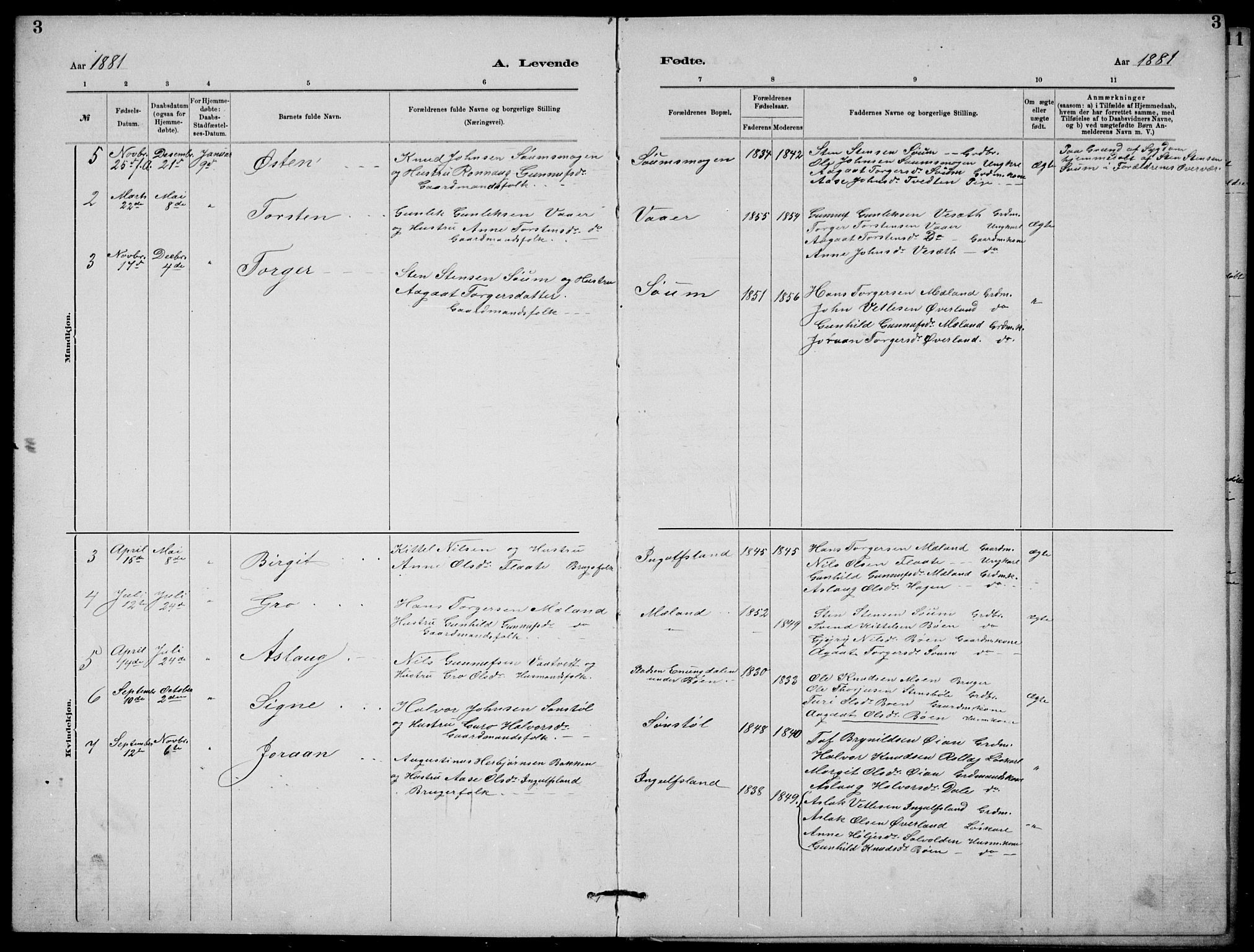 Rjukan kirkebøker, AV/SAKO-A-294/G/Ga/L0001: Parish register (copy) no. 1, 1880-1914, p. 3