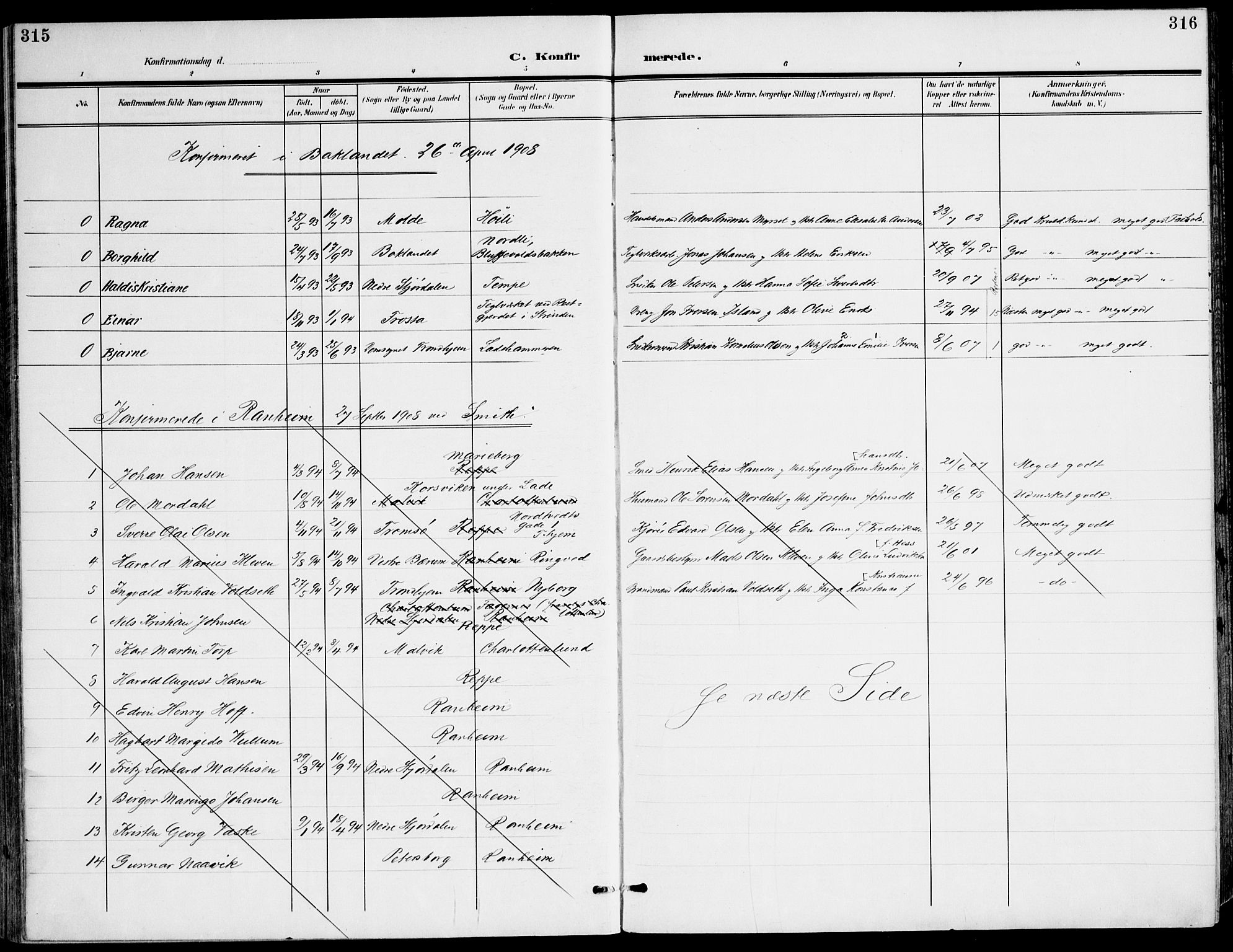 Ministerialprotokoller, klokkerbøker og fødselsregistre - Sør-Trøndelag, AV/SAT-A-1456/607/L0320: Parish register (official) no. 607A04, 1907-1915, p. 315-316