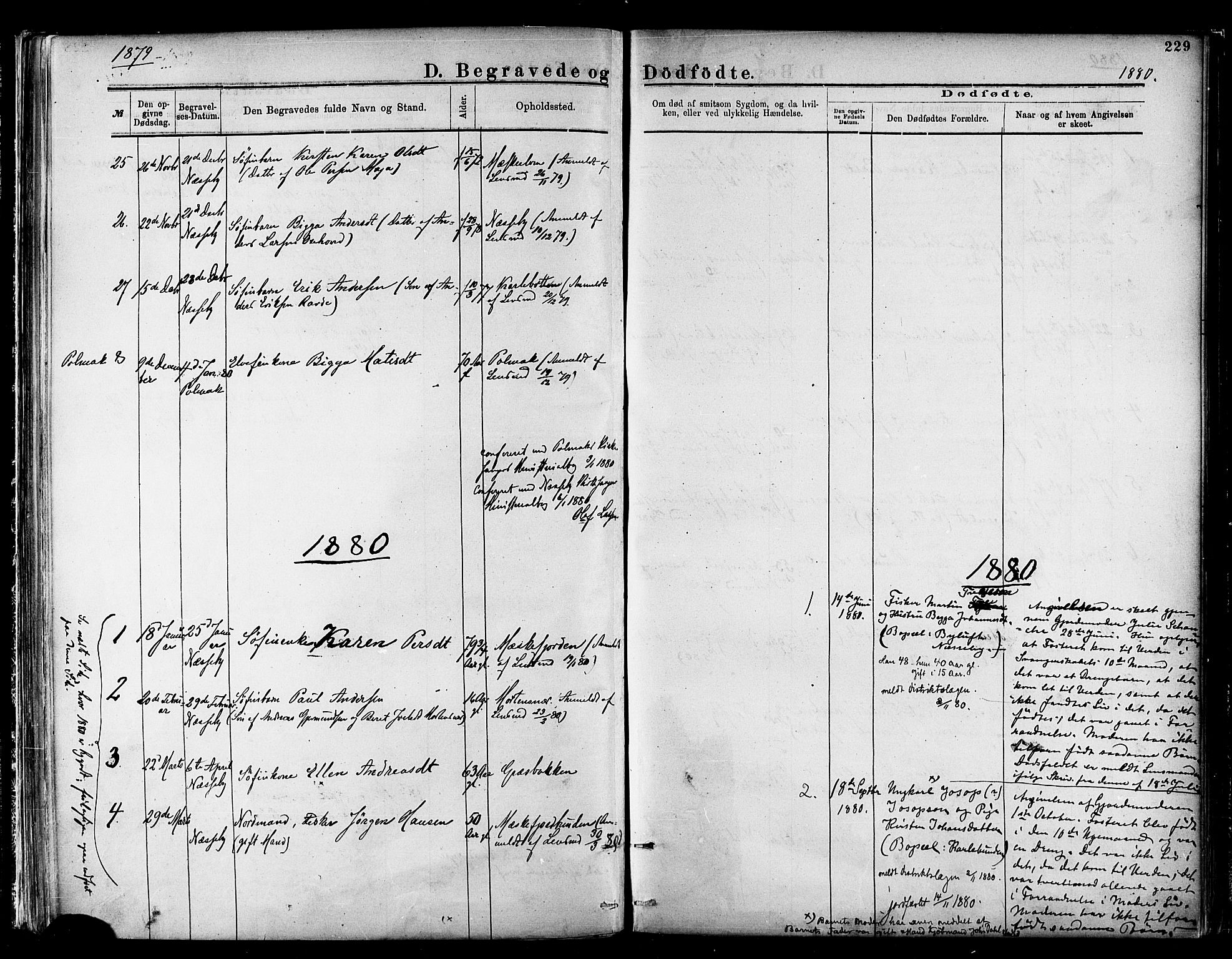 Nesseby sokneprestkontor, SATØ/S-1330/H/Ha/L0004kirke: Parish register (official) no. 4, 1877-1884, p. 229