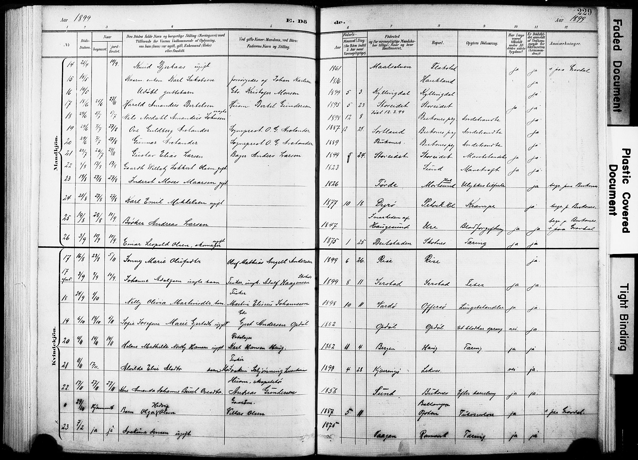 Ministerialprotokoller, klokkerbøker og fødselsregistre - Nordland, AV/SAT-A-1459/881/L1151: Parish register (official) no. 881A04, 1899-1907, p. 229