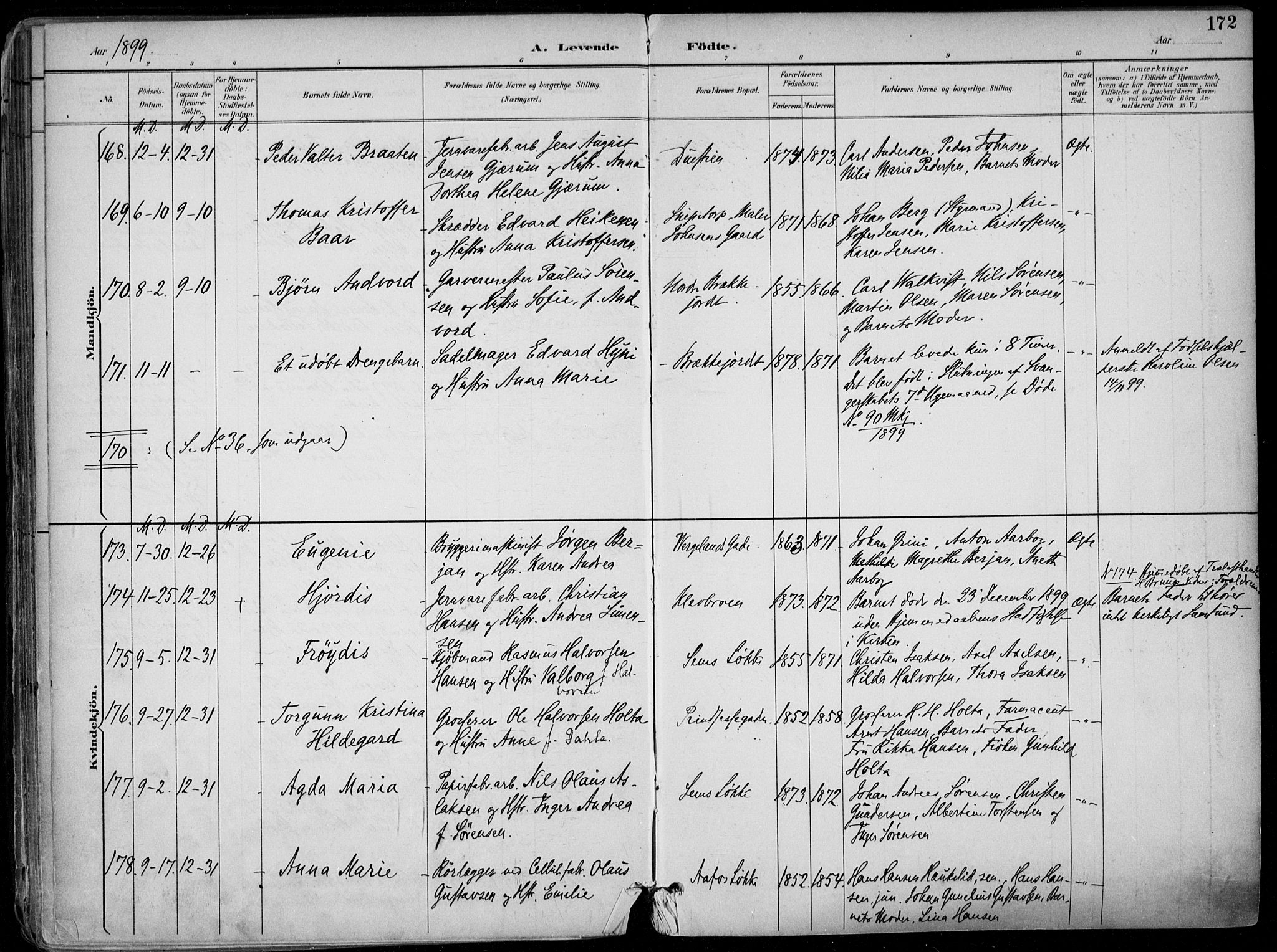 Skien kirkebøker, SAKO/A-302/F/Fa/L0010: Parish register (official) no. 10, 1891-1899, p. 172