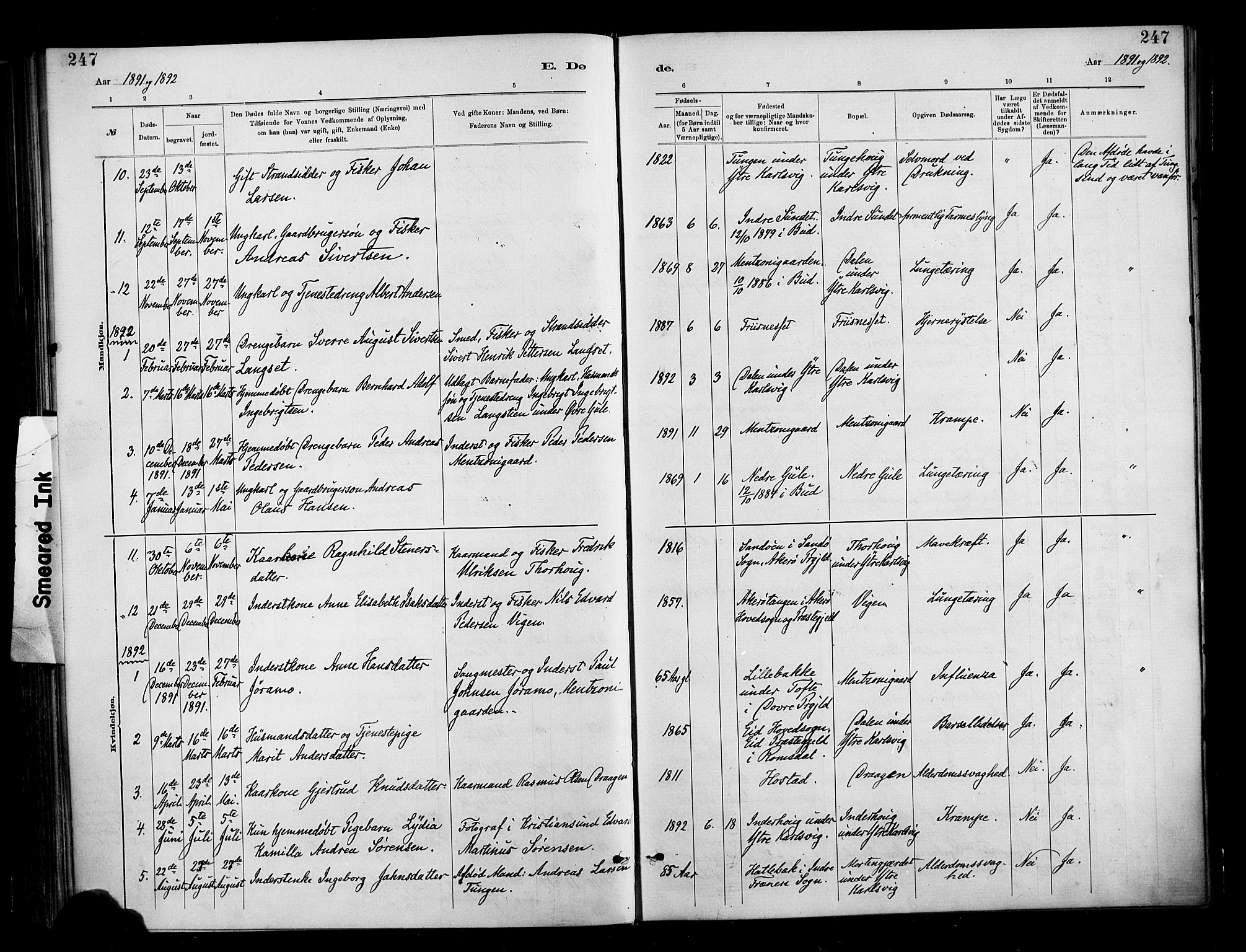 Ministerialprotokoller, klokkerbøker og fødselsregistre - Møre og Romsdal, AV/SAT-A-1454/566/L0769: Parish register (official) no. 566A08, 1881-1903, p. 247