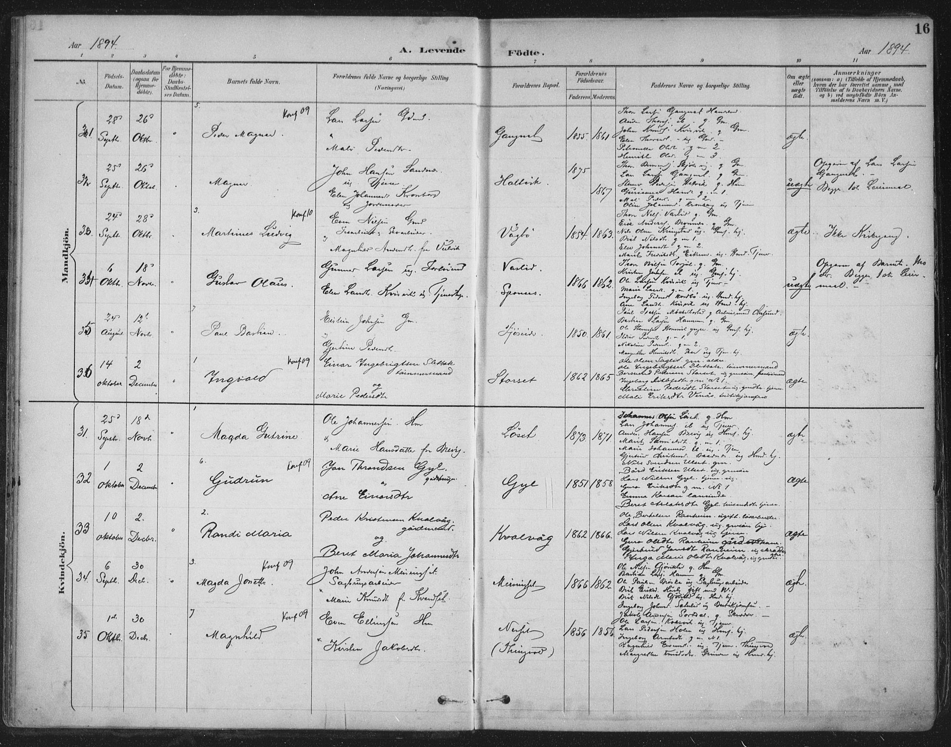 Ministerialprotokoller, klokkerbøker og fødselsregistre - Møre og Romsdal, AV/SAT-A-1454/586/L0988: Parish register (official) no. 586A14, 1893-1905, p. 16