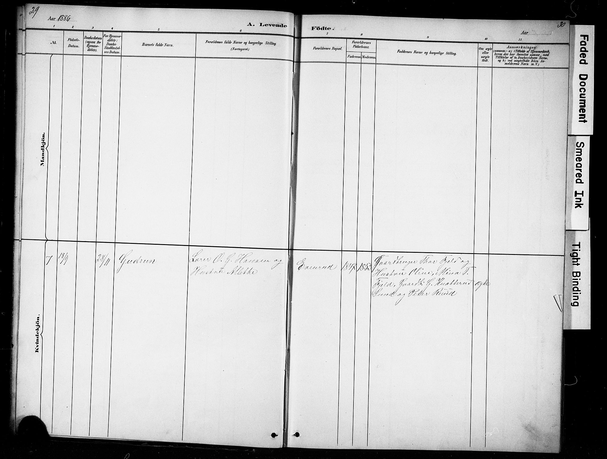 Nes prestekontor, Hedmark, AV/SAH-PREST-020/L/La/L0016: Parish register (copy) no. 16, 1883-1900, p. 29-30