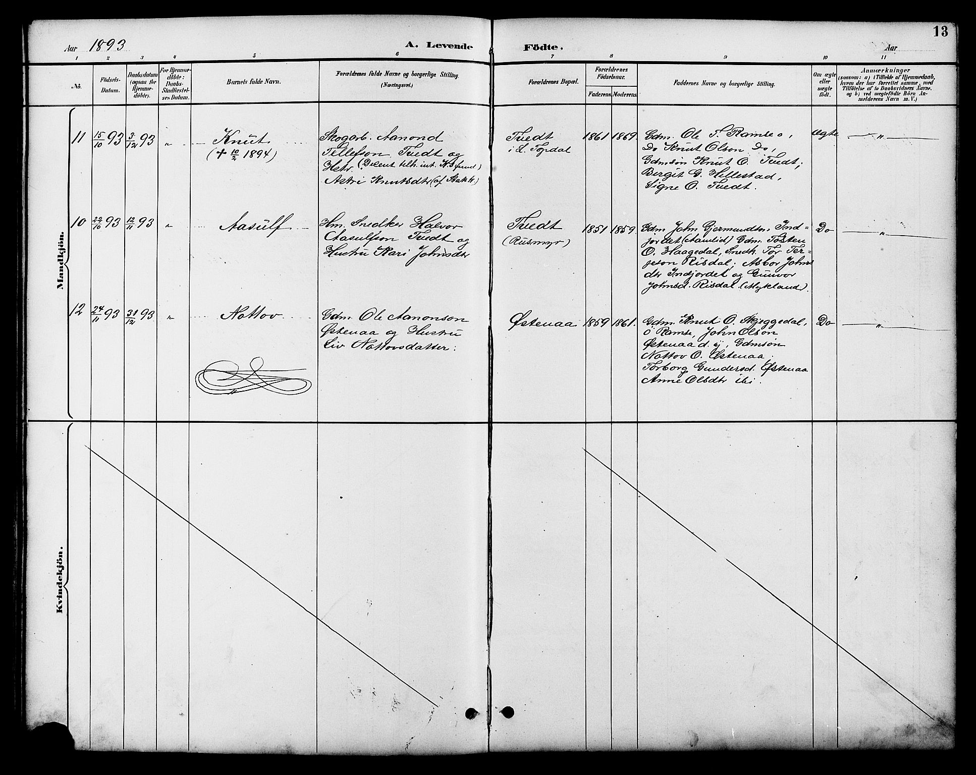 Åmli sokneprestkontor, AV/SAK-1111-0050/F/Fb/Fbb/L0002: Parish register (copy) no. B 2, 1890-1905, p. 13