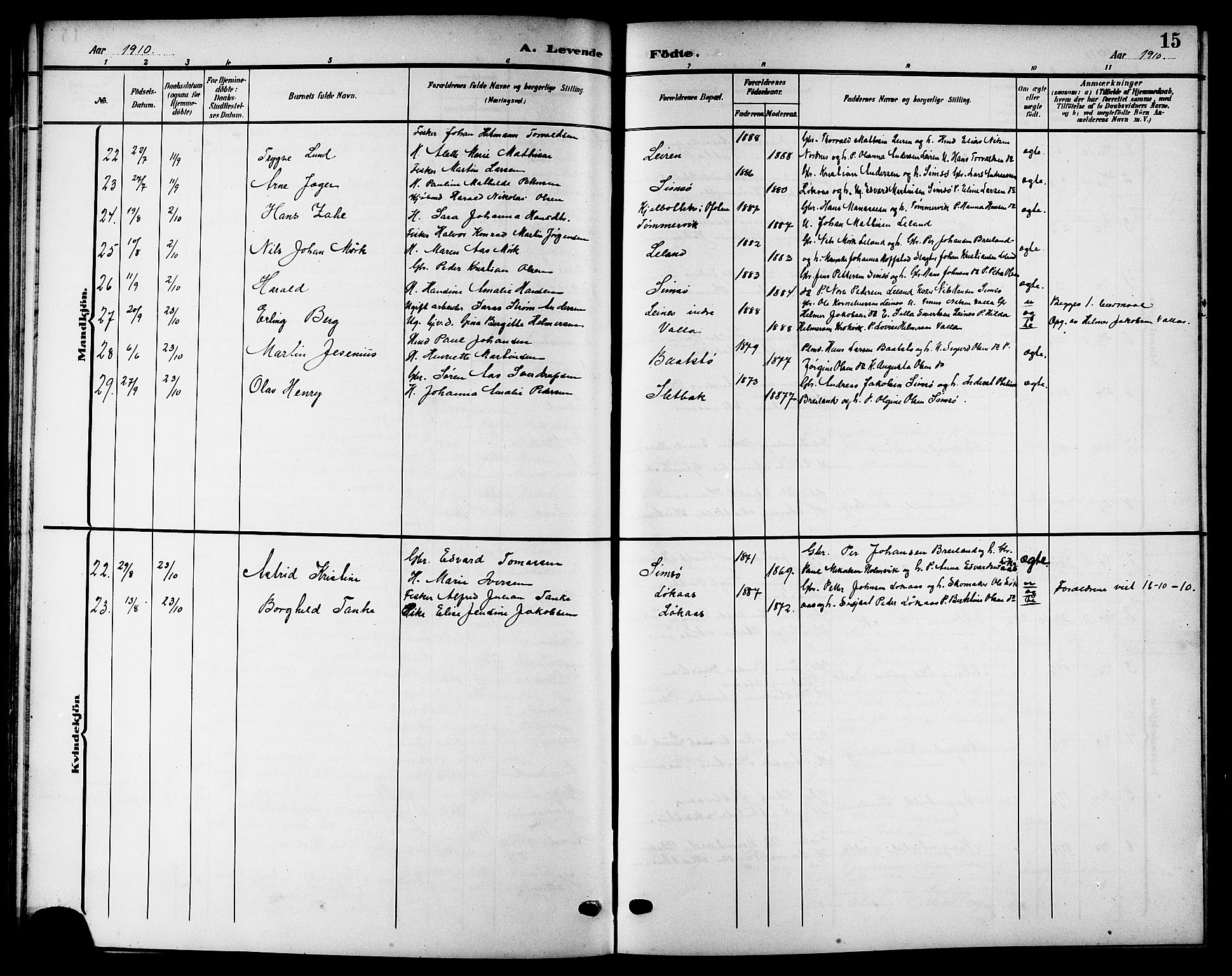 Ministerialprotokoller, klokkerbøker og fødselsregistre - Nordland, SAT/A-1459/832/L0494: Parish register (copy) no. 832C01, 1906-1922, p. 15