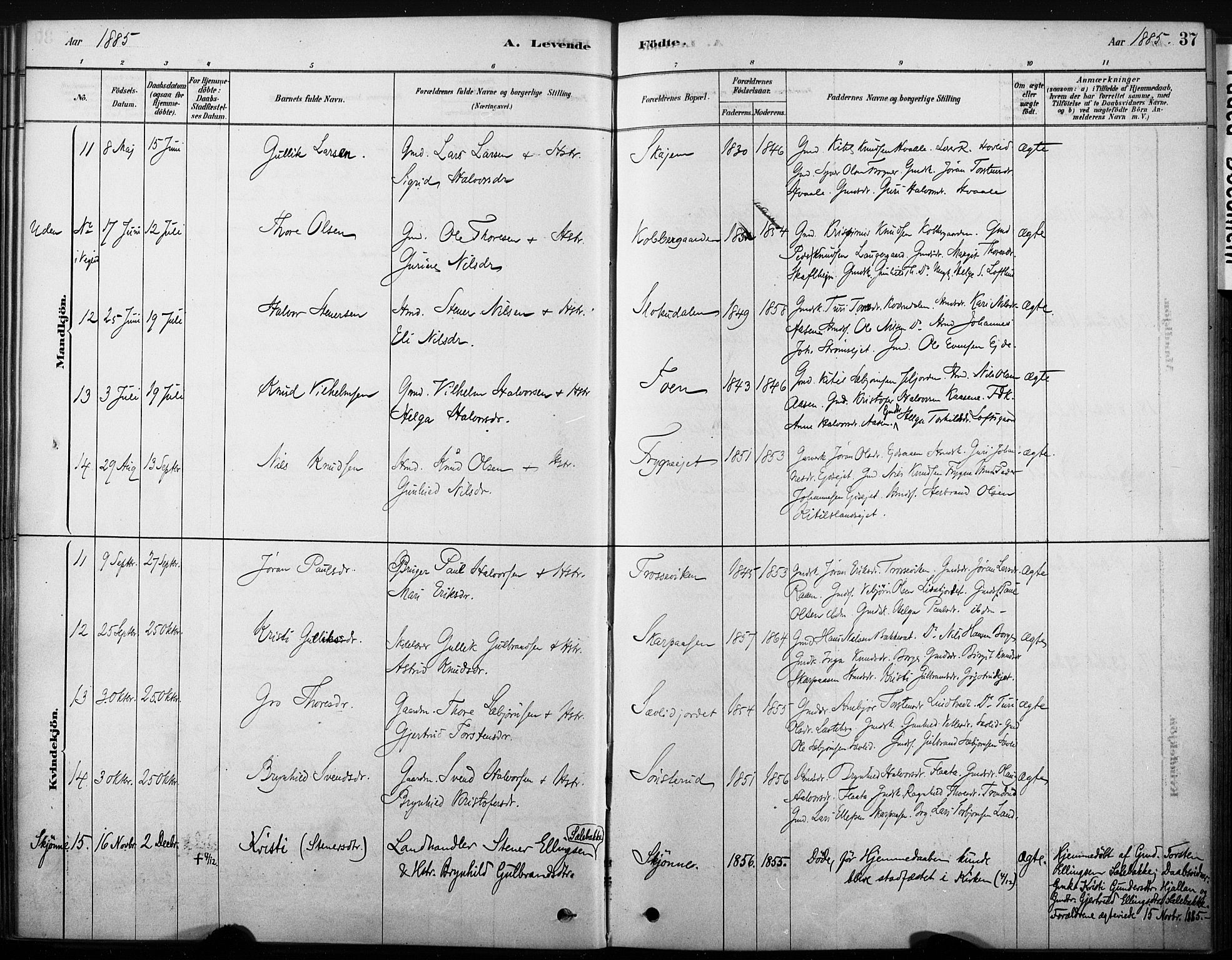 Nore kirkebøker, SAKO/A-238/F/Fb/L0001: Parish register (official) no. II 1, 1878-1886, p. 37