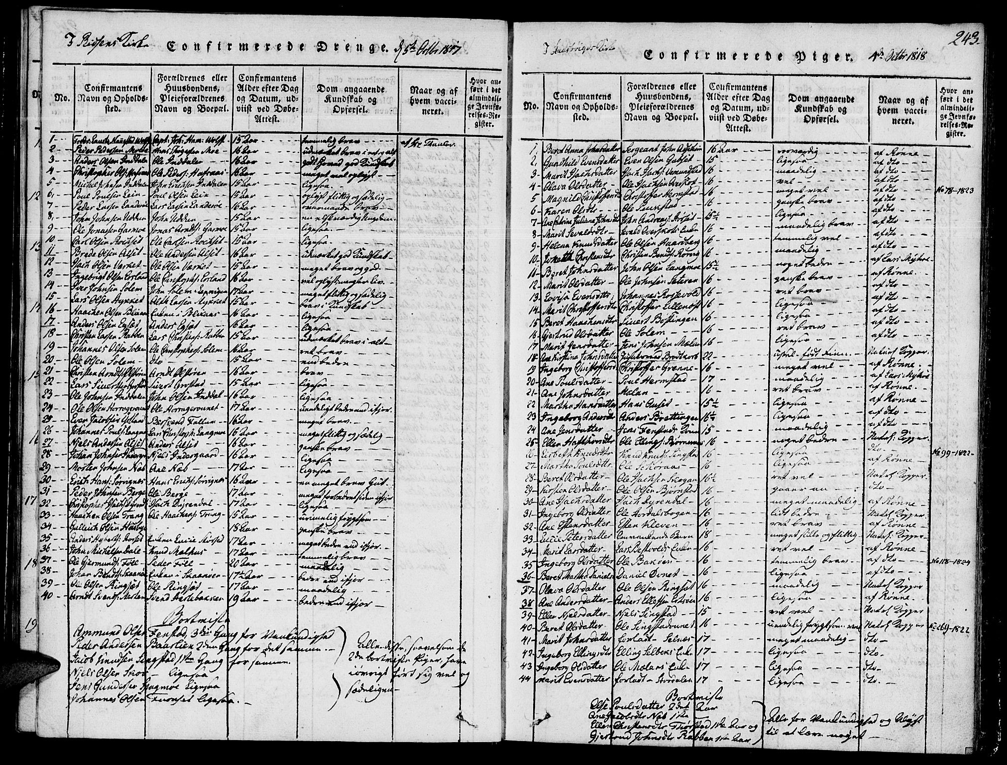 Ministerialprotokoller, klokkerbøker og fødselsregistre - Sør-Trøndelag, AV/SAT-A-1456/646/L0608: Parish register (official) no. 646A06, 1816-1825, p. 243