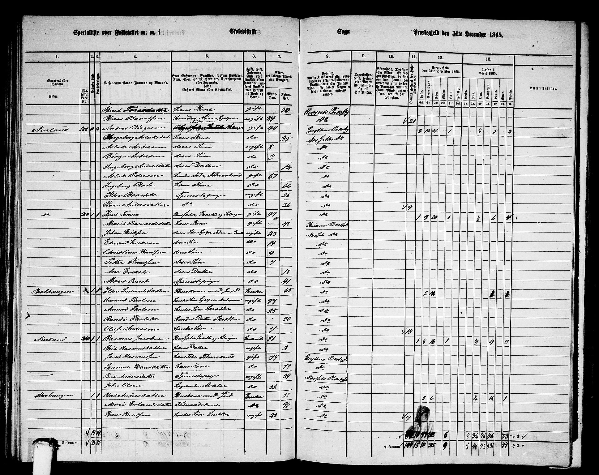 RA, 1865 census for Nesset, 1865, p. 138