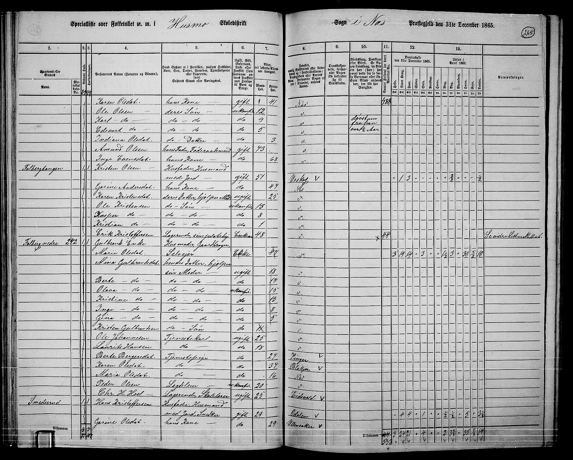 RA, 1865 census for Nes, 1865, p. 248