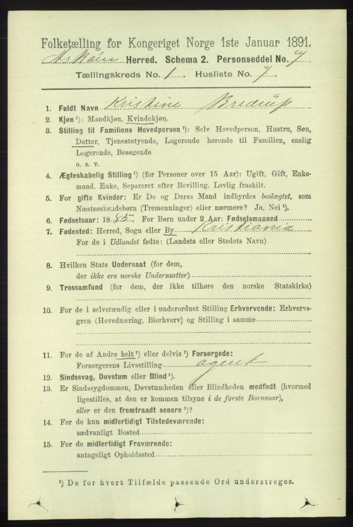 RA, 1891 census for 1247 Askøy, 1891, p. 171