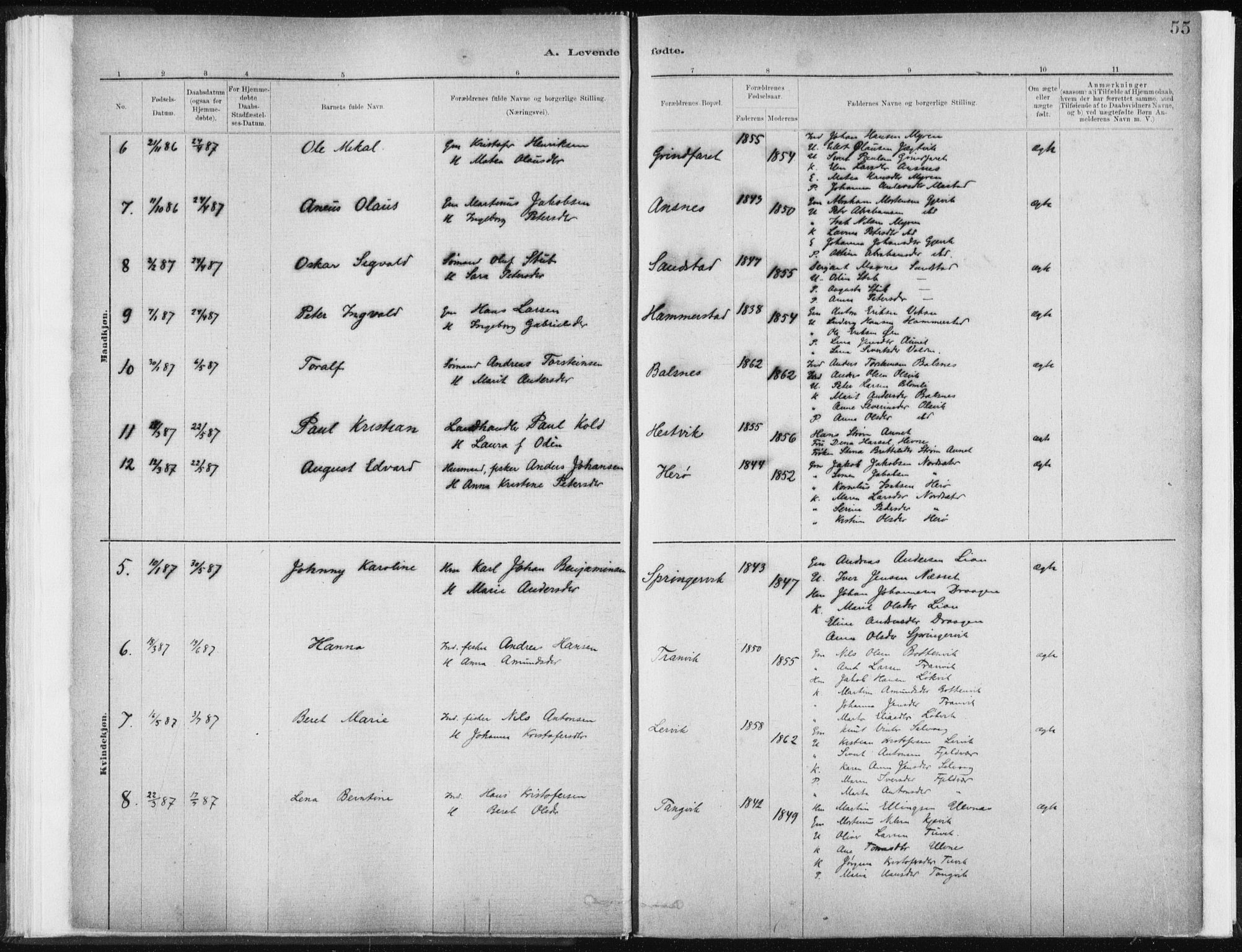 Ministerialprotokoller, klokkerbøker og fødselsregistre - Sør-Trøndelag, AV/SAT-A-1456/637/L0558: Parish register (official) no. 637A01, 1882-1899, p. 55