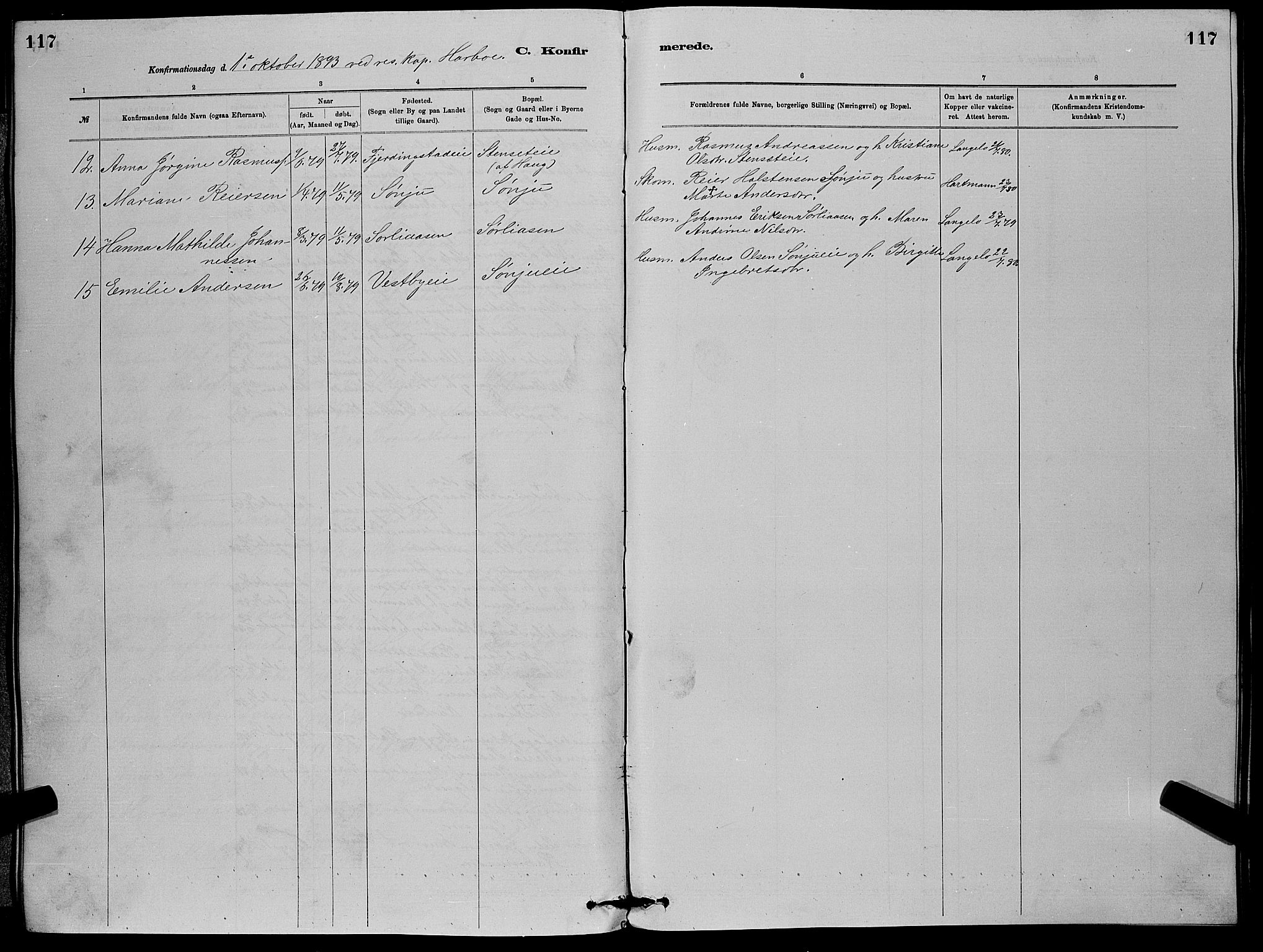 Eiker kirkebøker, SAKO/A-4/G/Gb/L0003: Parish register (copy) no. II 3, 1880-1893, p. 117