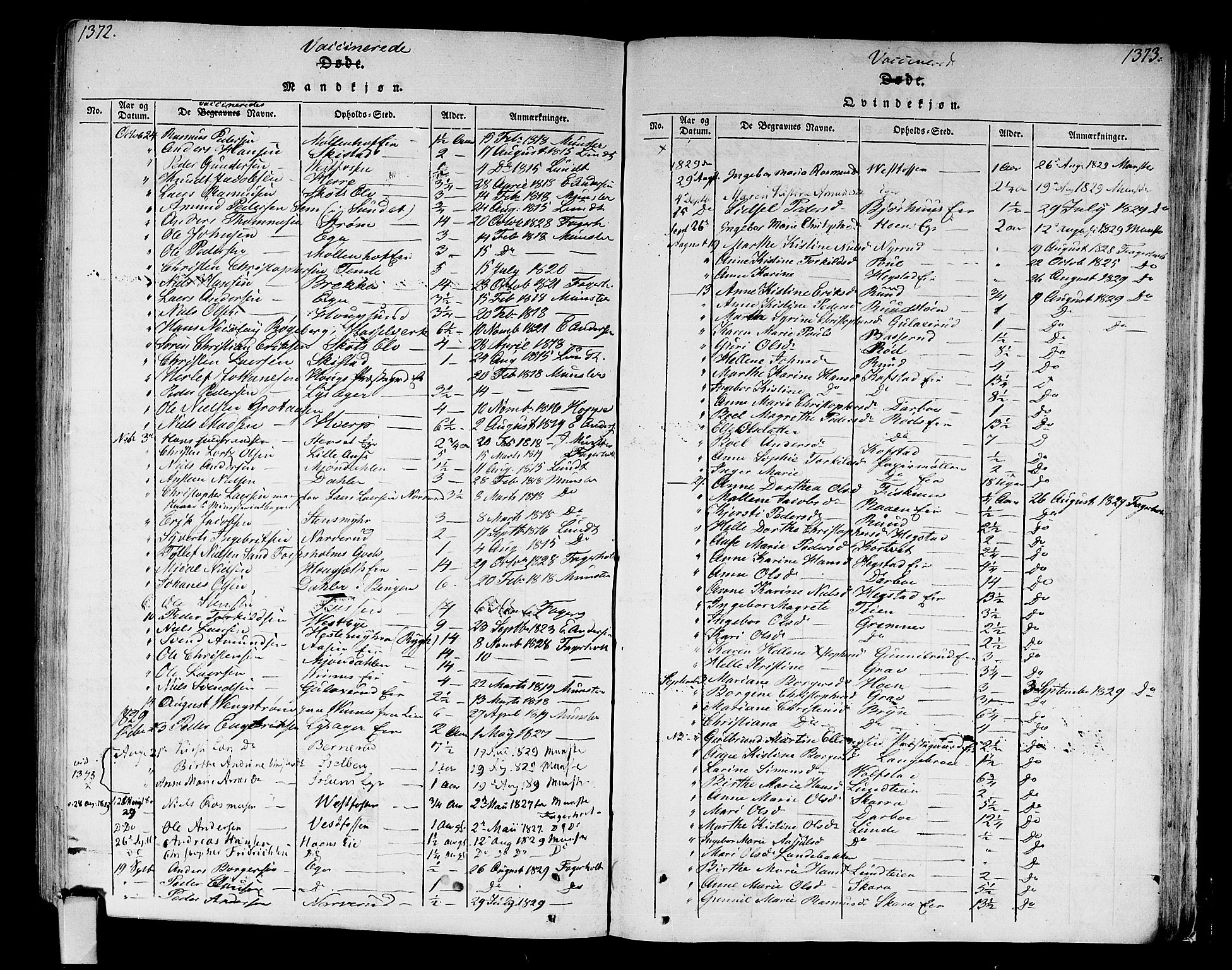 Eiker kirkebøker, SAKO/A-4/F/Fa/L0010: Parish register (official) no. I 10, 1806-1815, p. 1372-1373